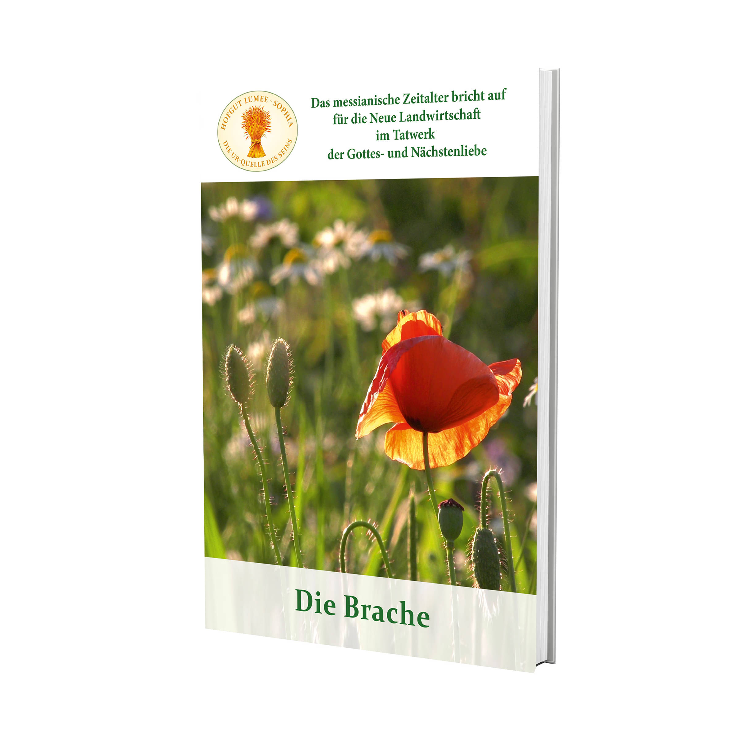 Broschüre »Die Brache« Broschüre »Die Brache«