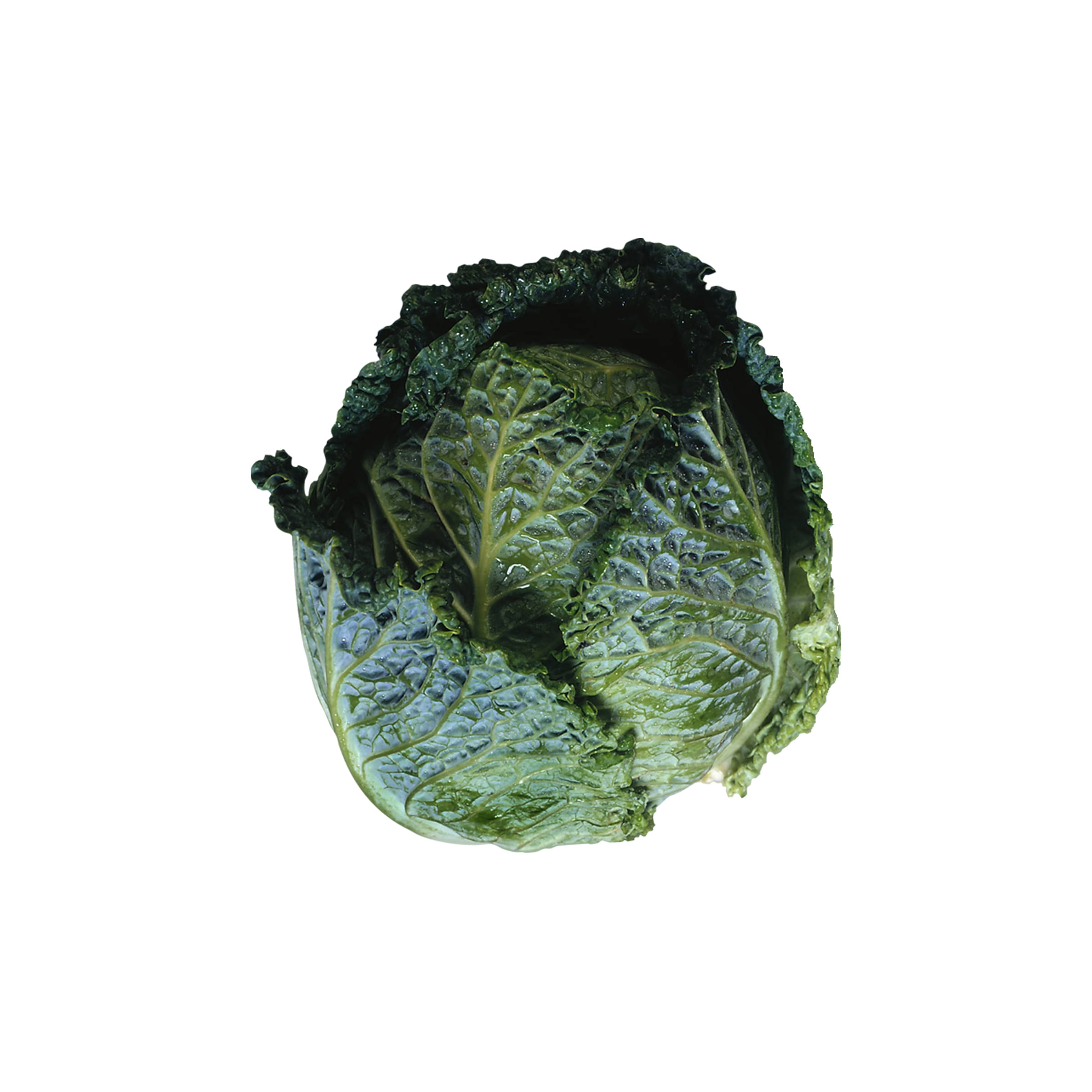 Wirsing, klein - mit Schönheitsfehlern kaufen Wirsing, klein - mit Schönheitsfehlern