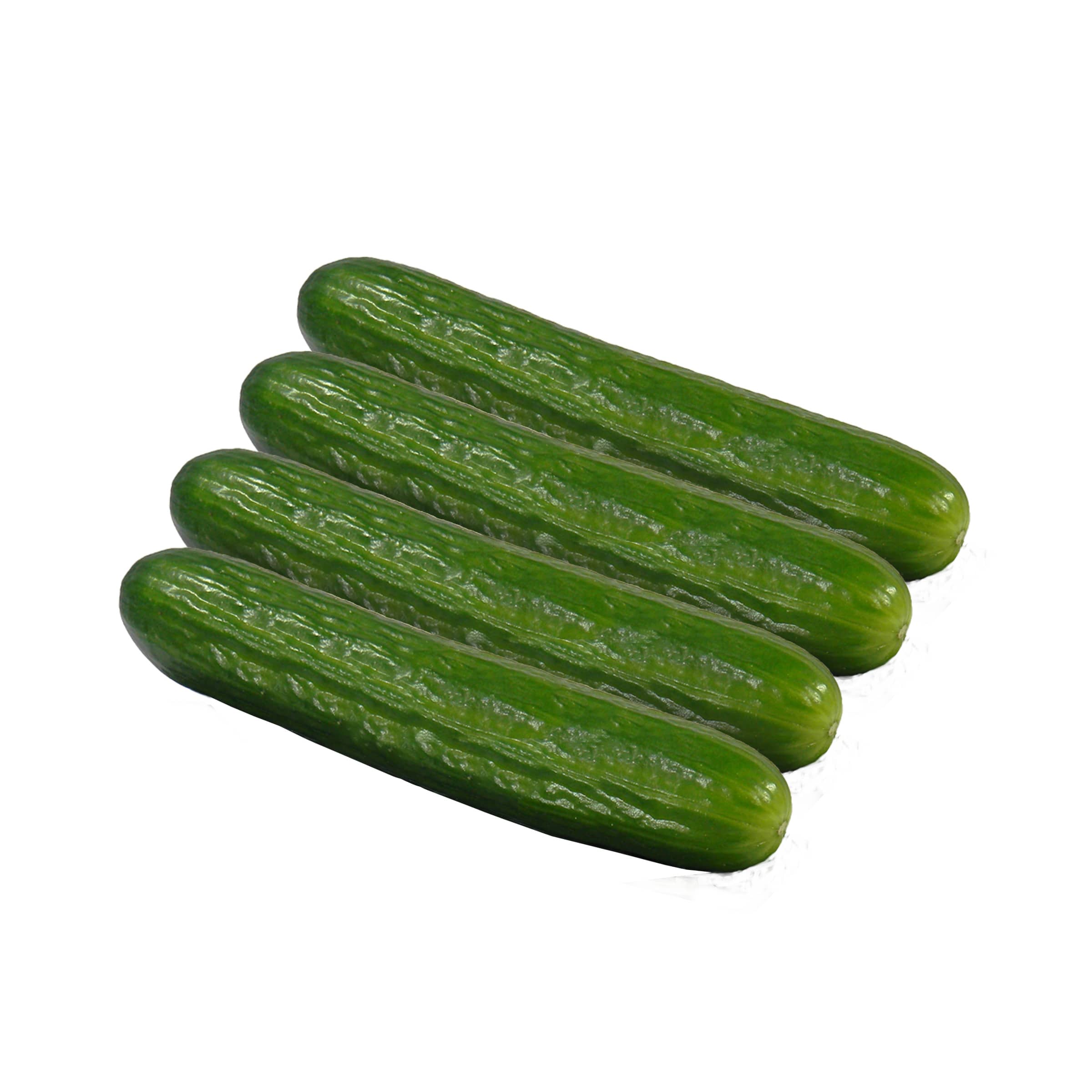 Salatgurken-Sparpaket kaufen Salatgurken-Sparpaket