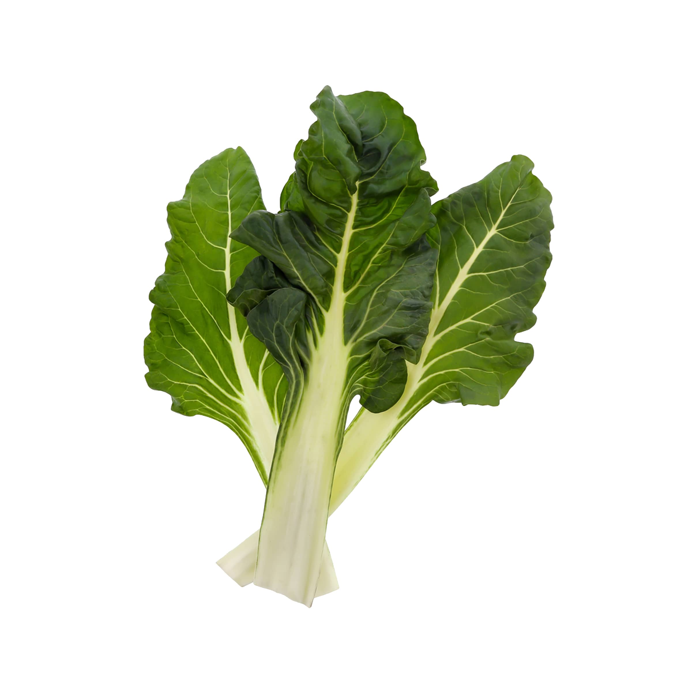 Mangold kaufen Mangold