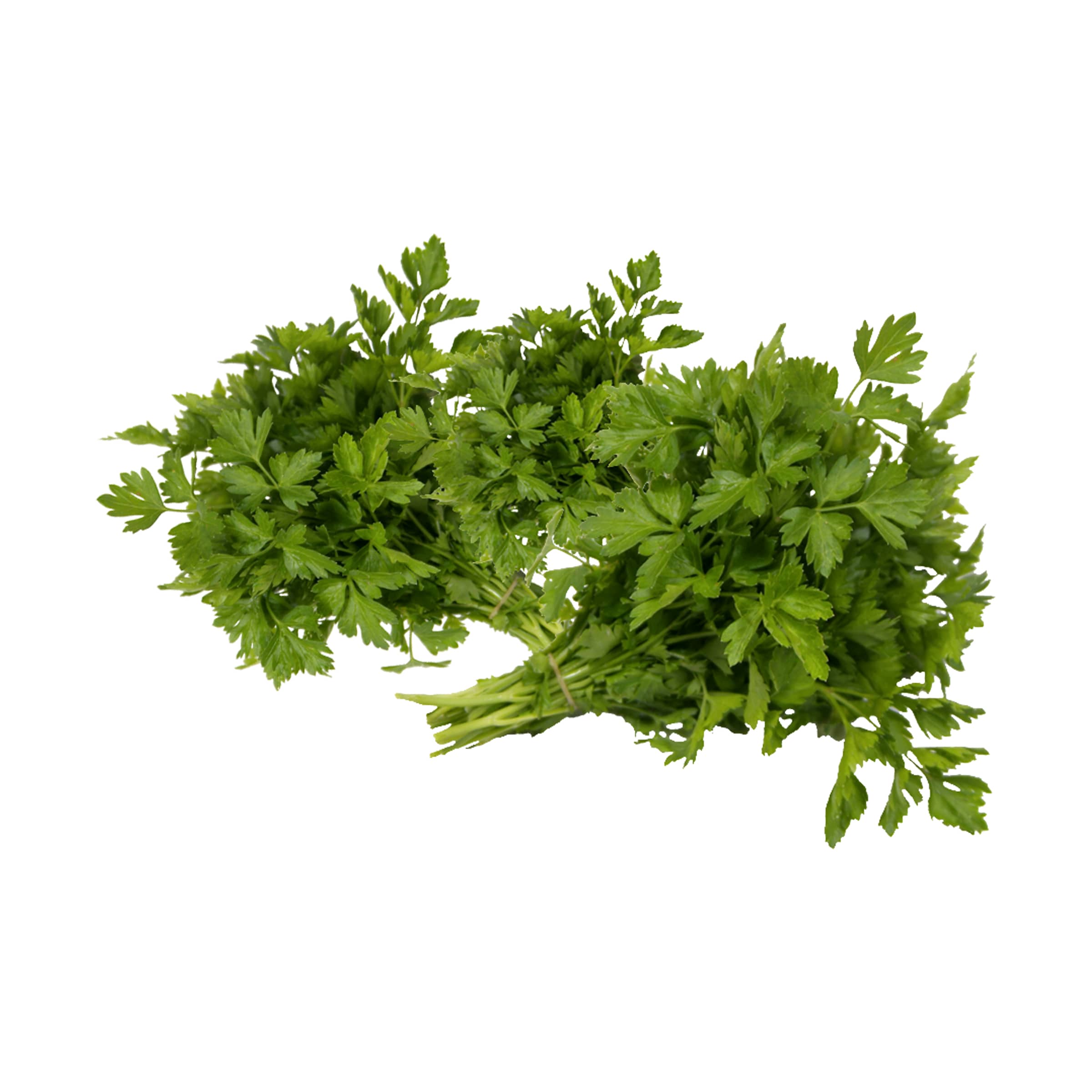 Petersilie kaufen Petersilie