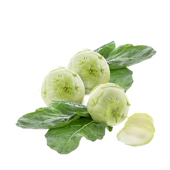 Maltaflor - veganer, universaler Garten-, Blumen- und Gemsednger | Lebe  Gesund Versand