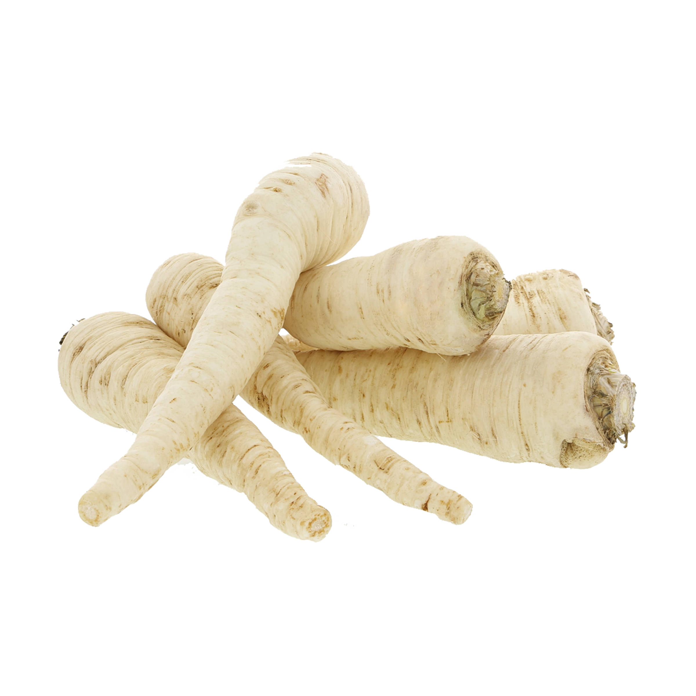 Wurzel-Petersilie kaufen Wurzel-Petersilie