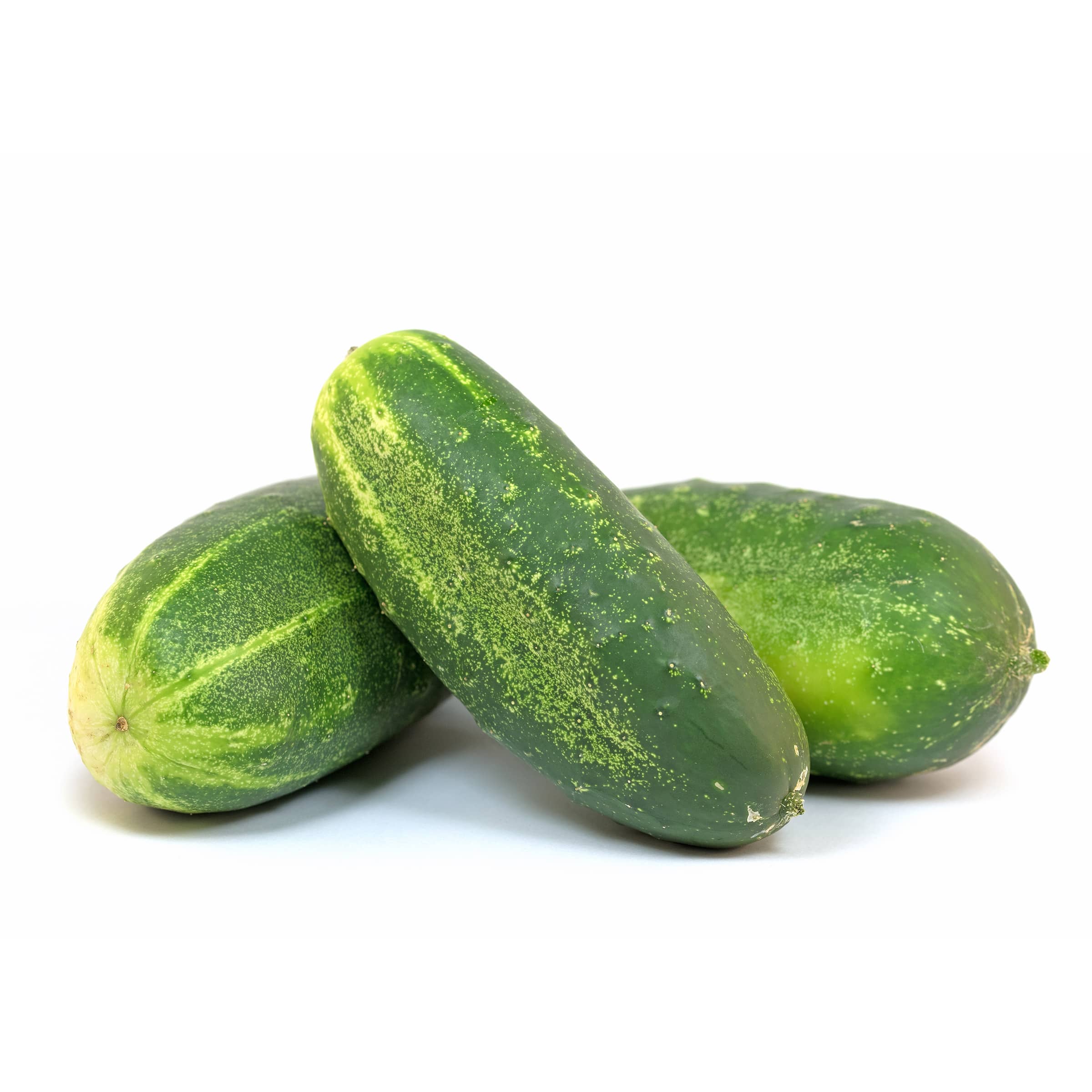 Einlegegurken, groß, Snackgurken - mit Schönheitsfehlern kaufen Einlegegurken, groß, Snackgurken - mit Schönheitsfehlern