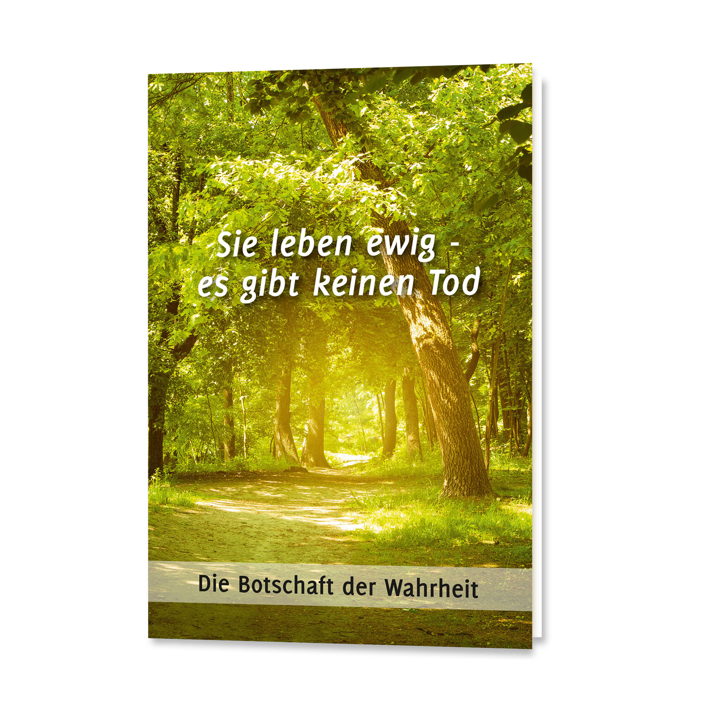 Leseprobe »Sie leben ewig – es gibt keinen Tod« kaufen Leseprobe »Sie leben ewig – es gibt keinen Tod«