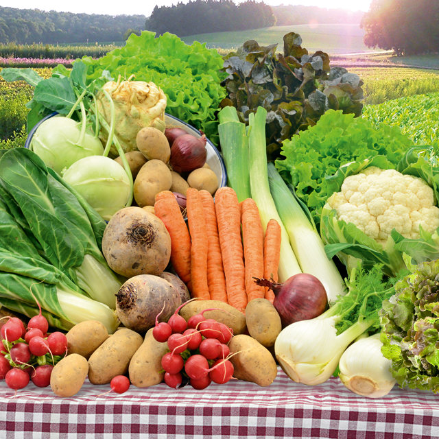 Zartes Frühlingsgemüse, frisch geerntet, jetzt bei Lebe Gesund bestellen! Zartes Frühlingsgemüse, frisch geerntet, jetzt bei Lebe Gesund bestellen!