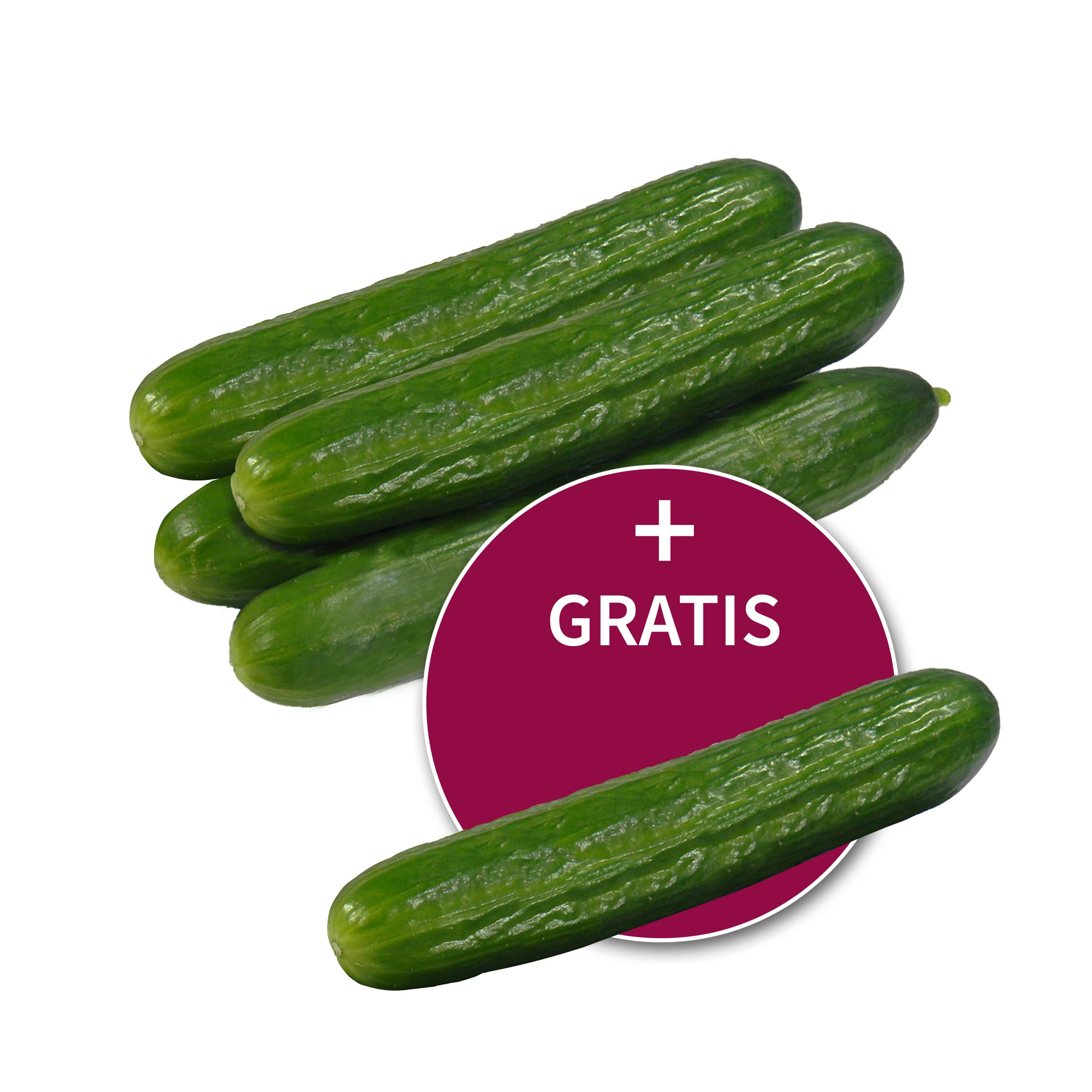 4+1 gratis: Salatgurken 4+1 gratis: Salatgurken
