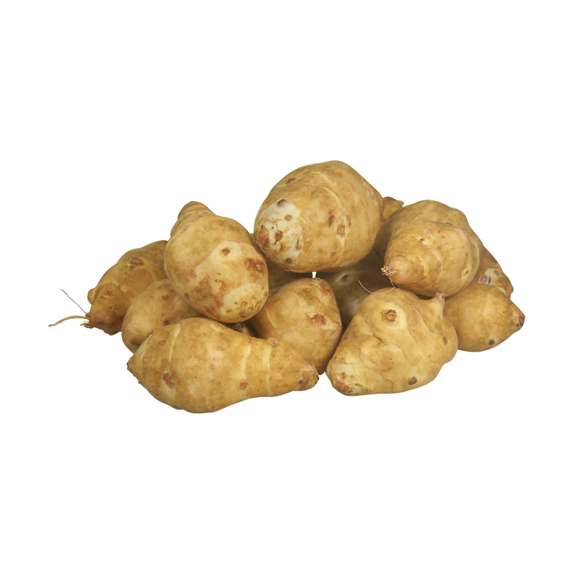 Topinambur kaufen Topinambur