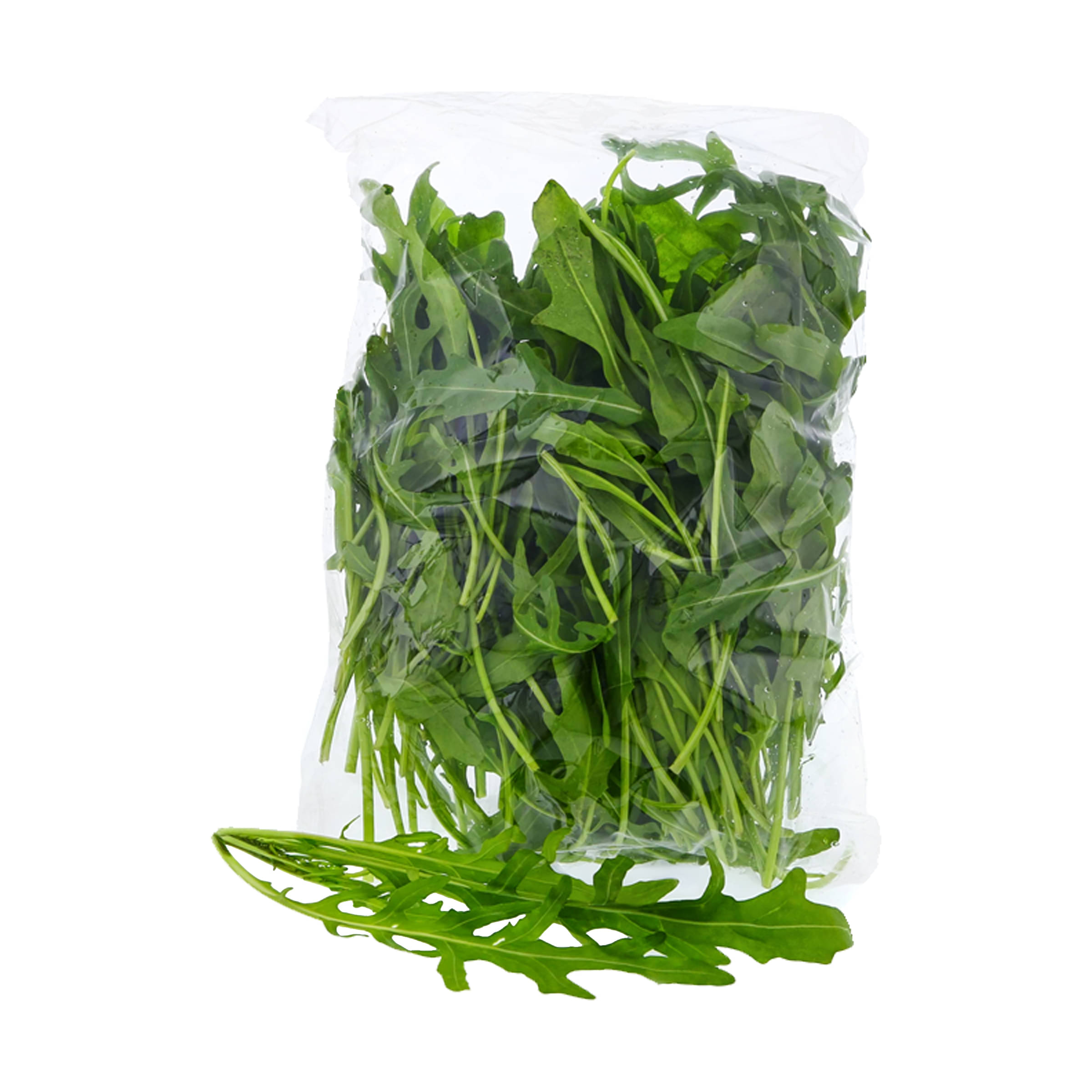 Rucola kaufen Rucola
