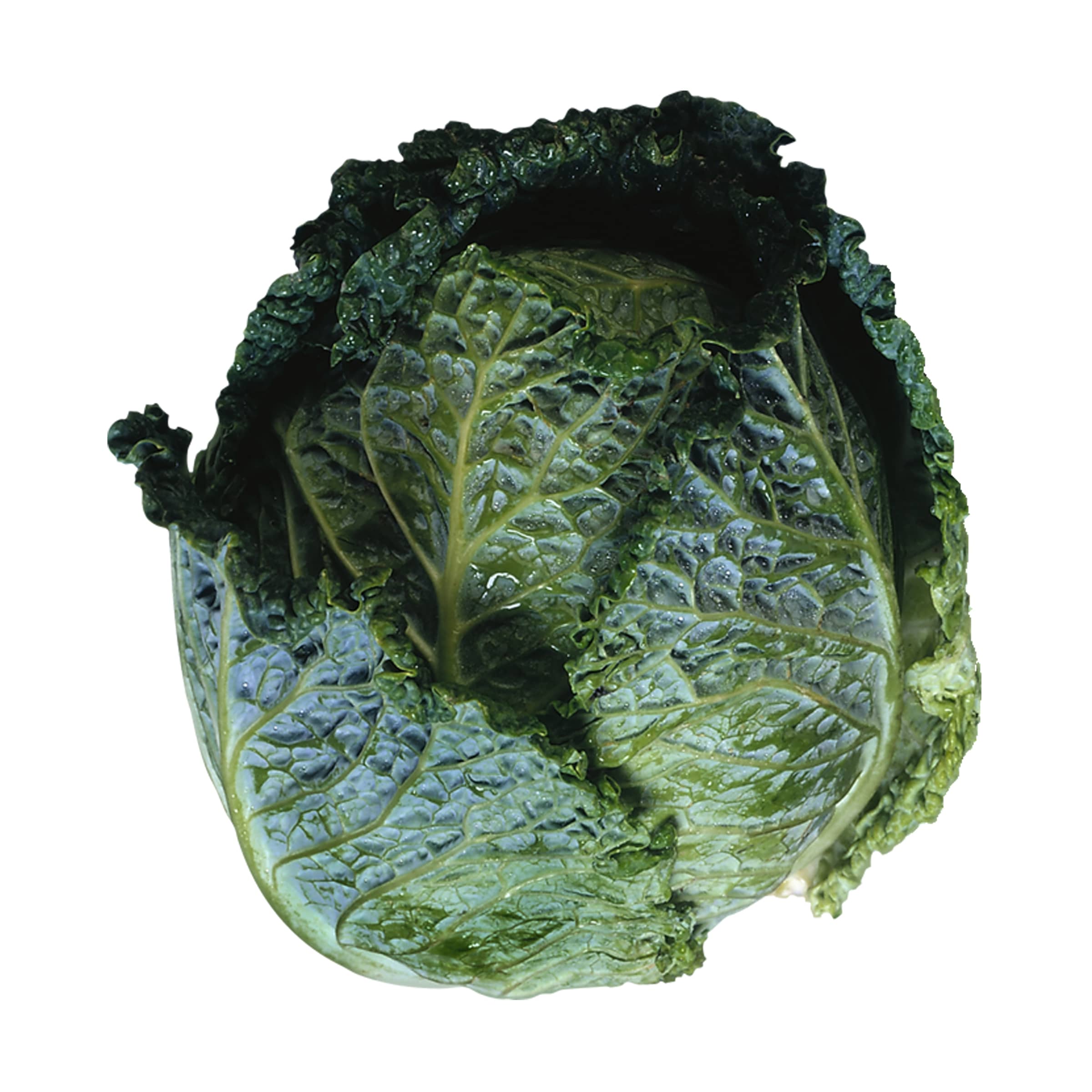 Wirsing, klein kaufen Wirsing, klein