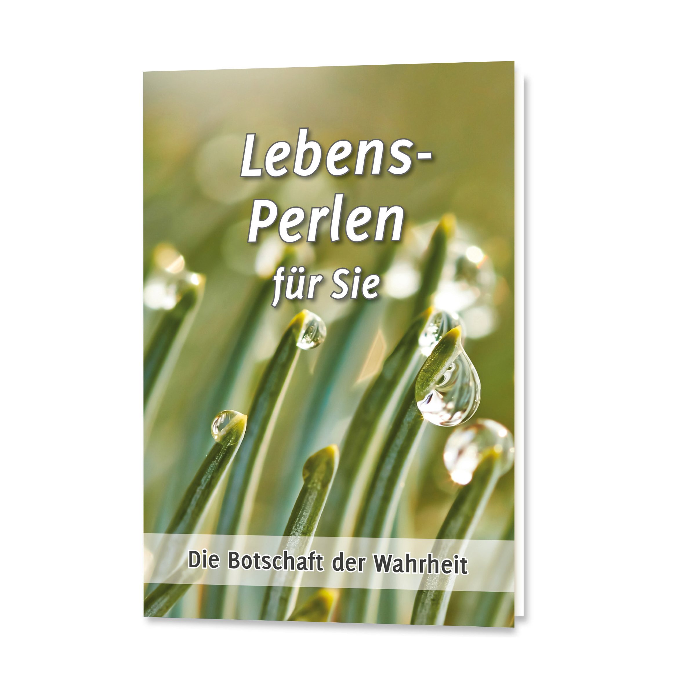Leseprobe »Lebens-Perlen für Sie« kaufen Leseprobe »Lebens-Perlen für Sie«
