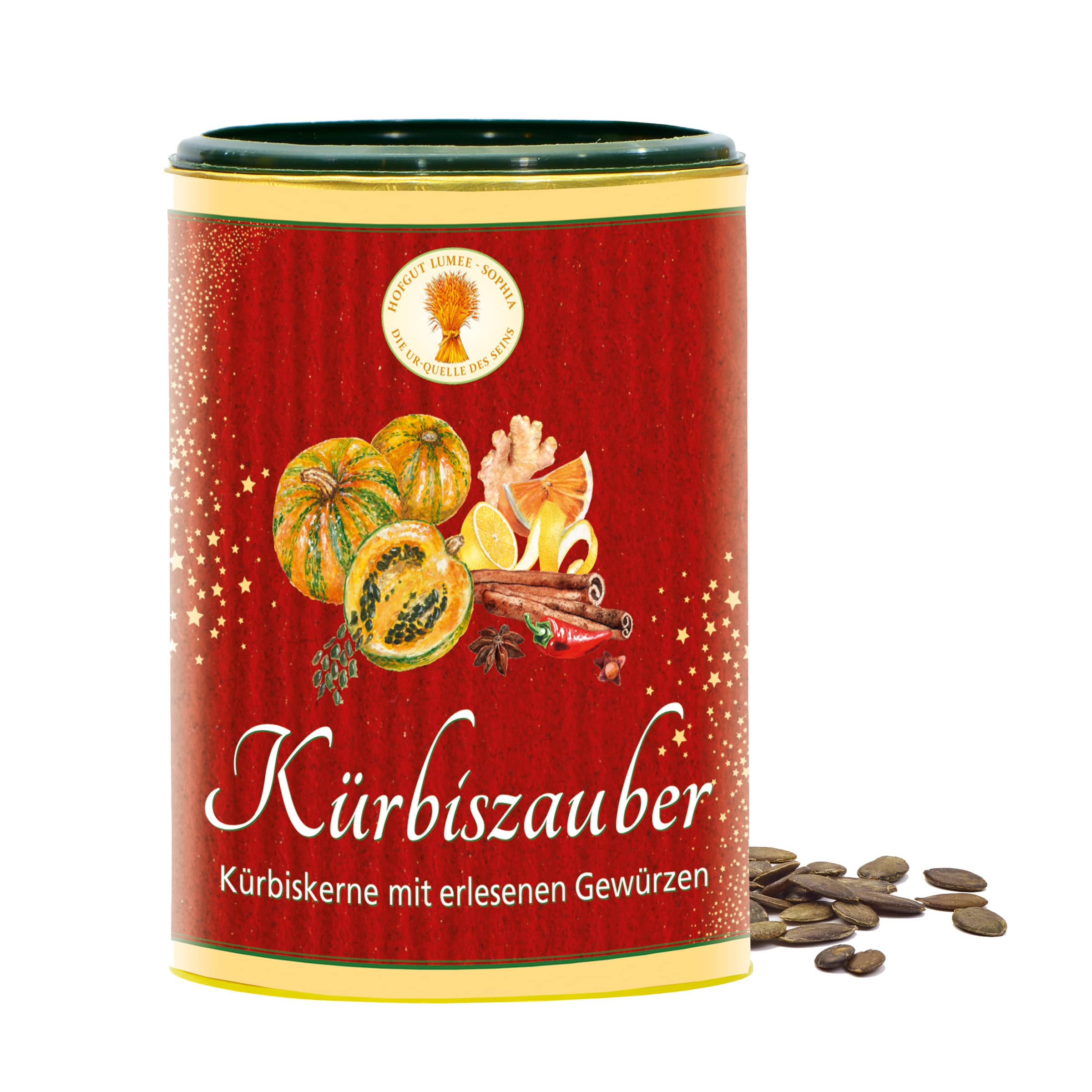 Kürbiszauber kaufen Kürbiszauber