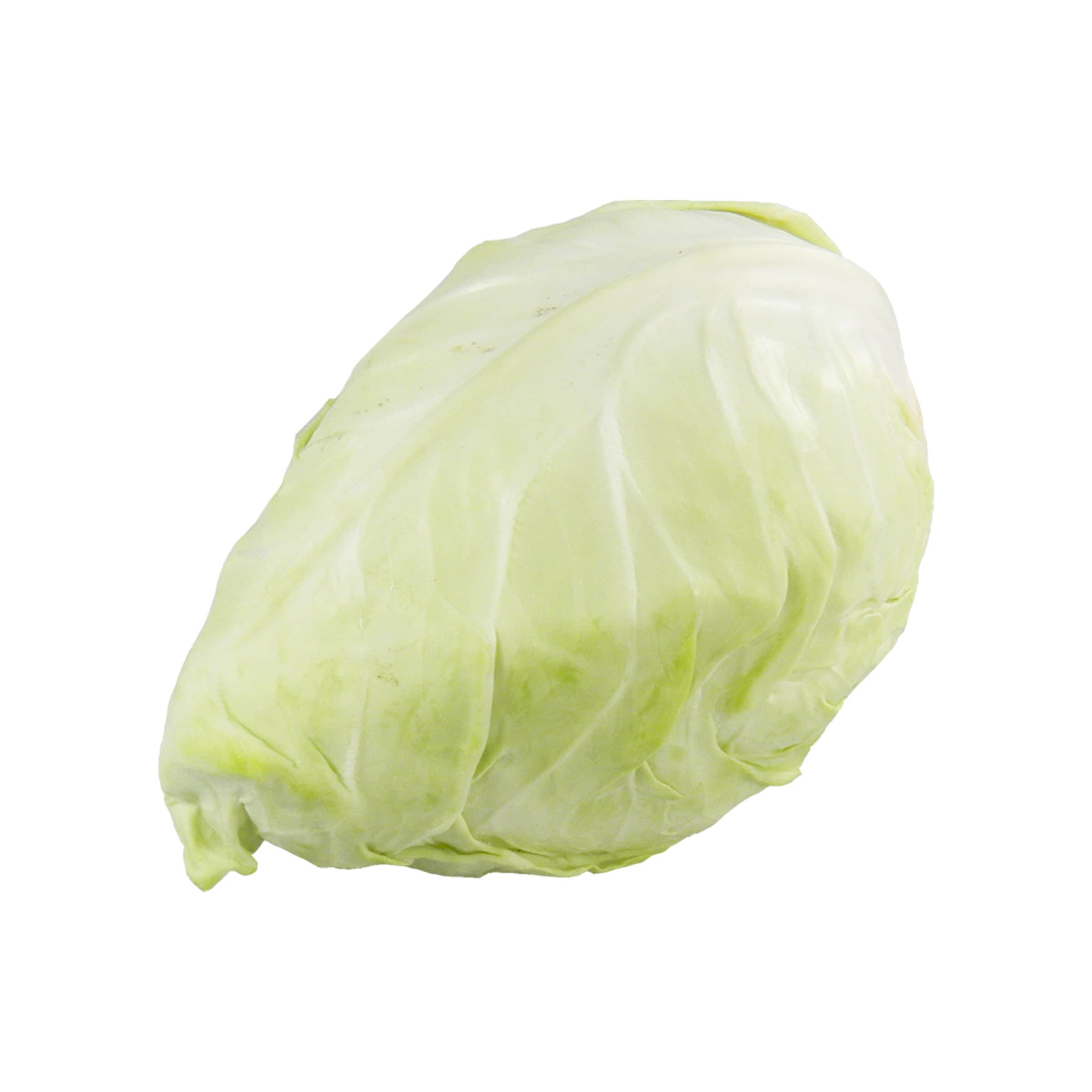 Spitzkohl, klein kaufen Spitzkohl, klein