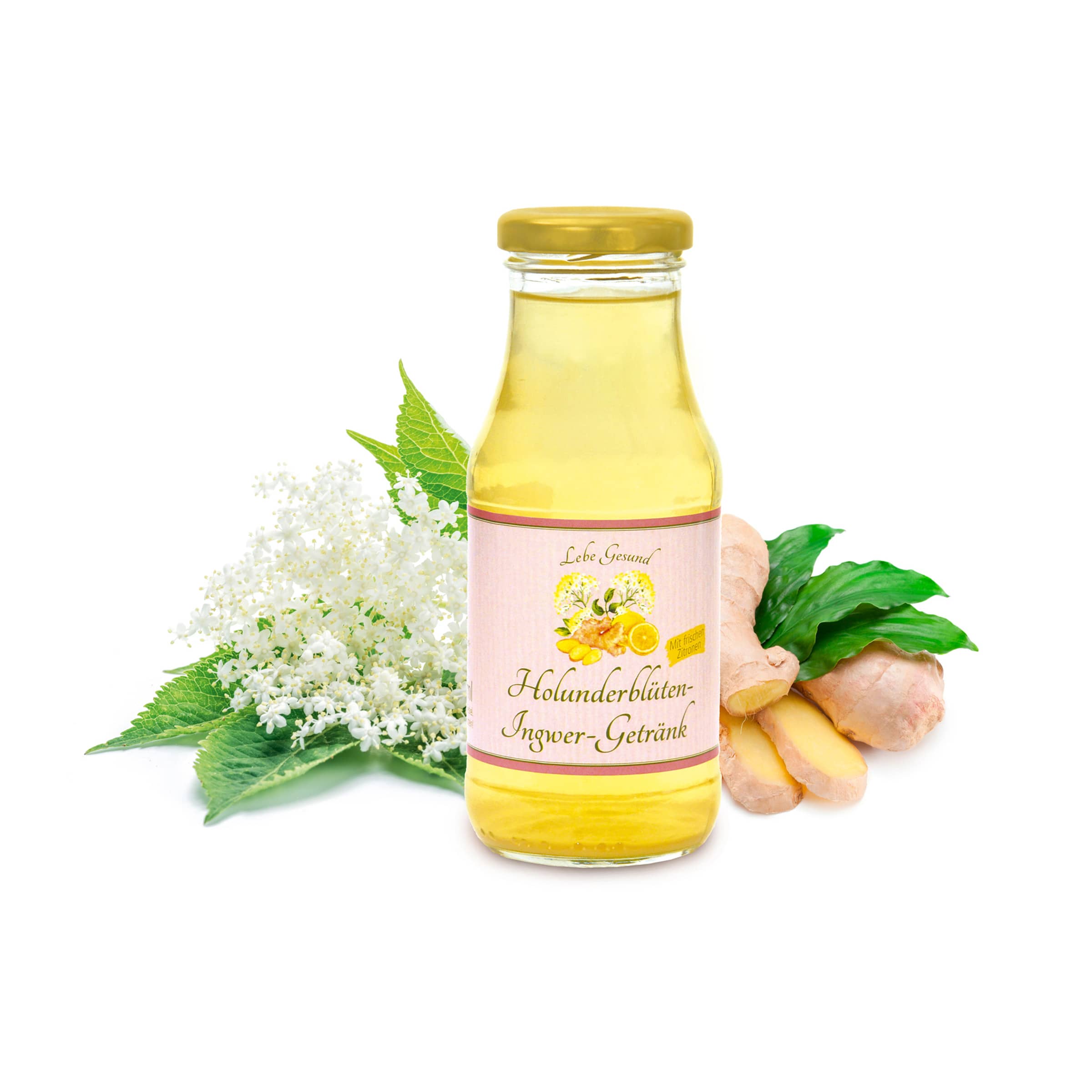 Holunderblüten-Ingwer-Getränk kaufen Holunderblüten-Ingwer-Getränk