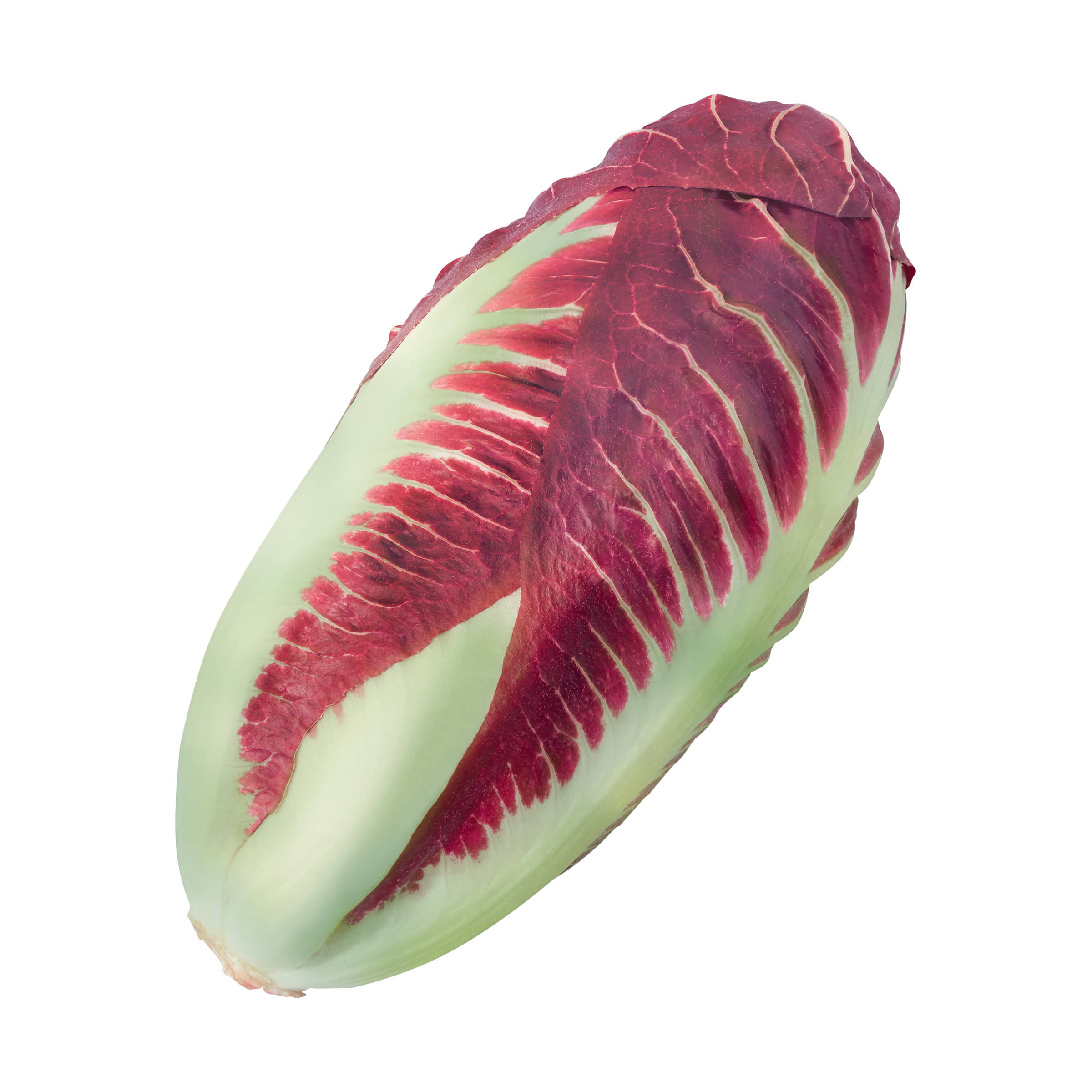 Radicchio kaufen Radicchio