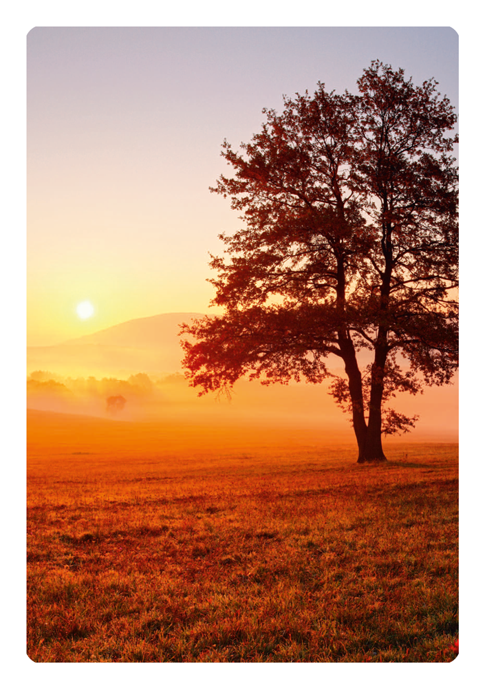 Grußkarte mit Motiv nach Wahl "Sonnenuntergang" kaufen Grußkarte mit Motiv nach Wahl "Sonnenuntergang"