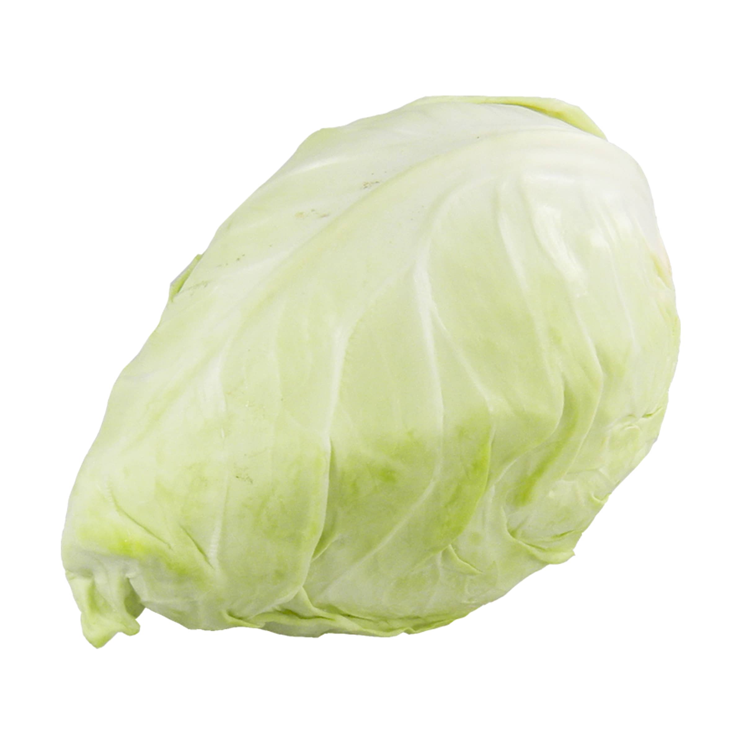 Spitzkohl, klein kaufen Spitzkohl, klein