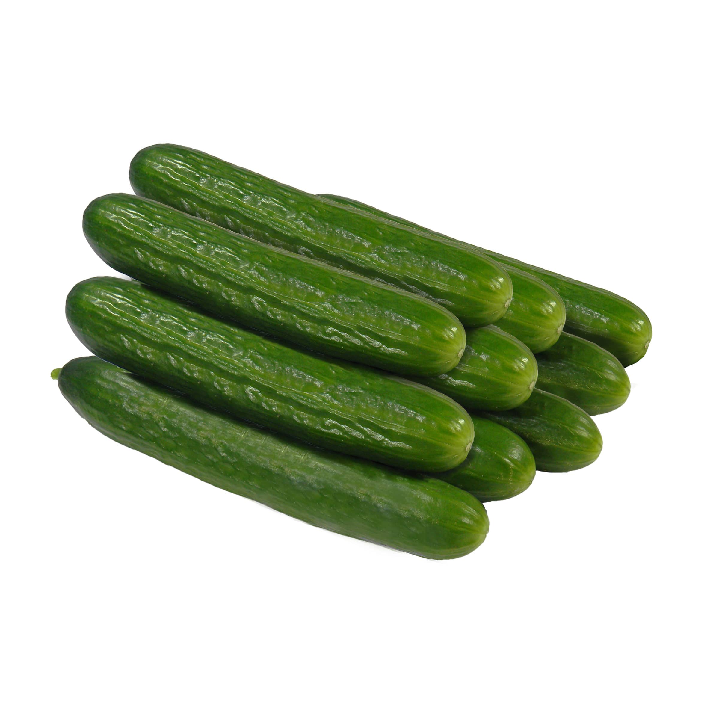 10x Salatgurke kaufen 10x Salatgurke