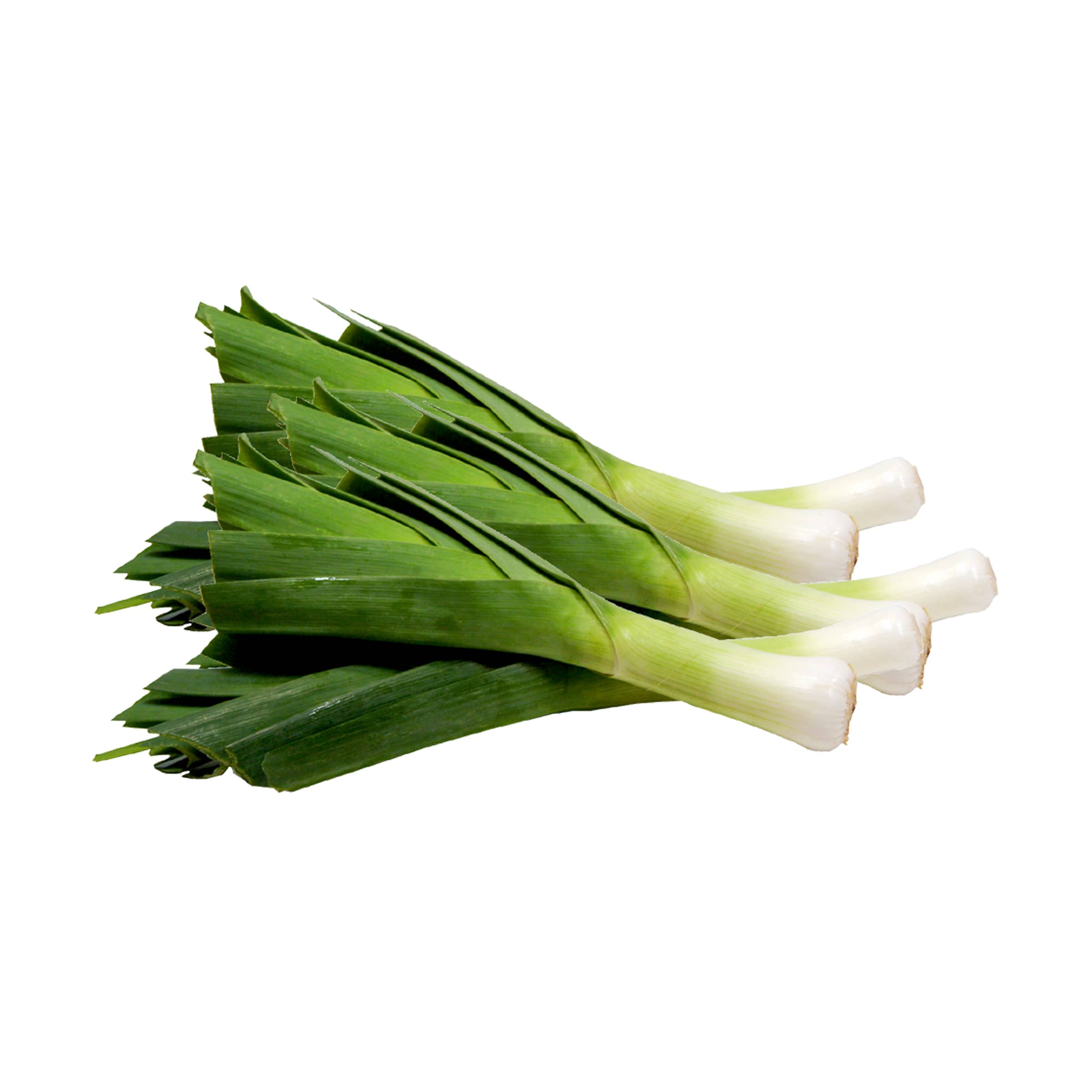 Lauch kaufen Lauch