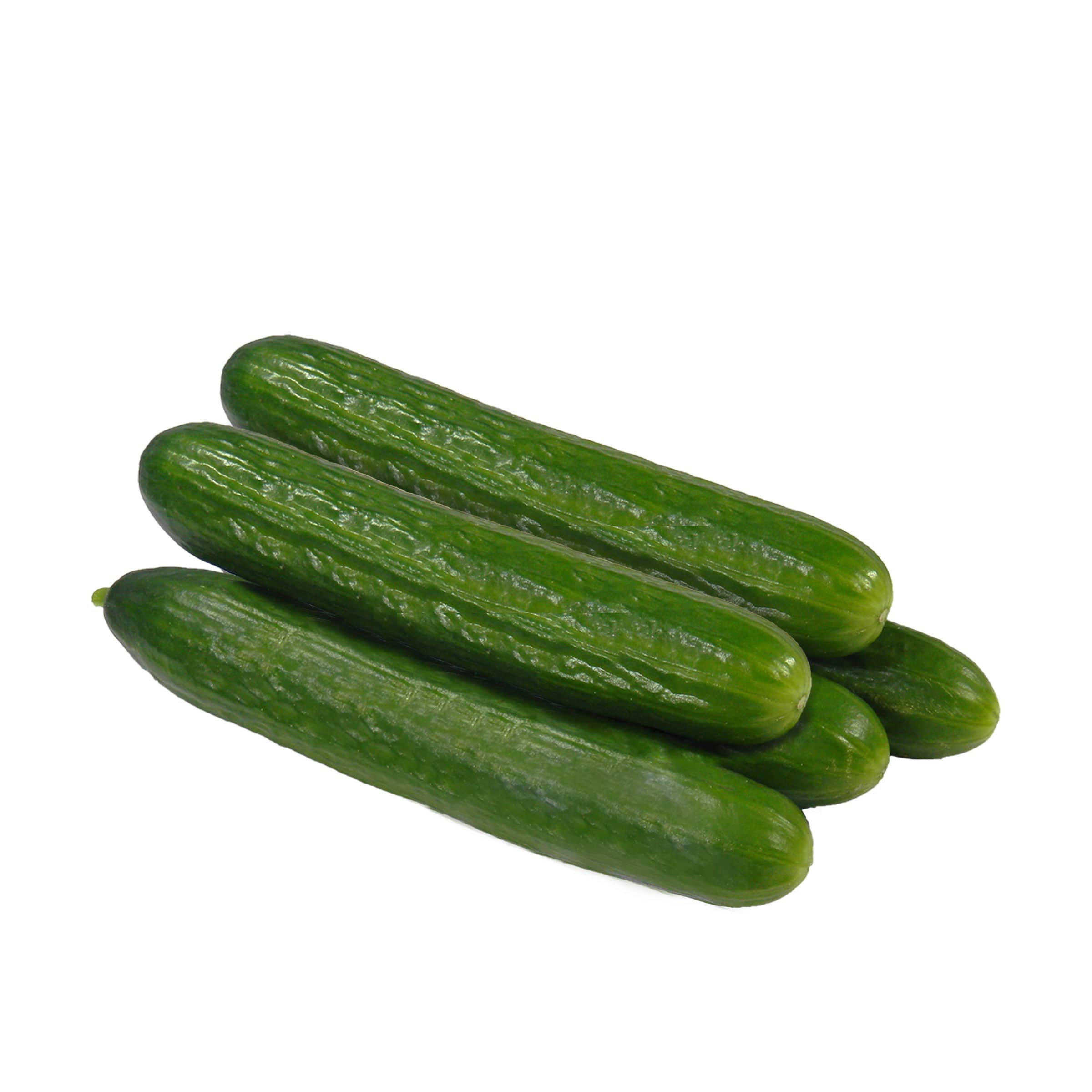 5x Salatgurke kaufen 5x Salatgurke