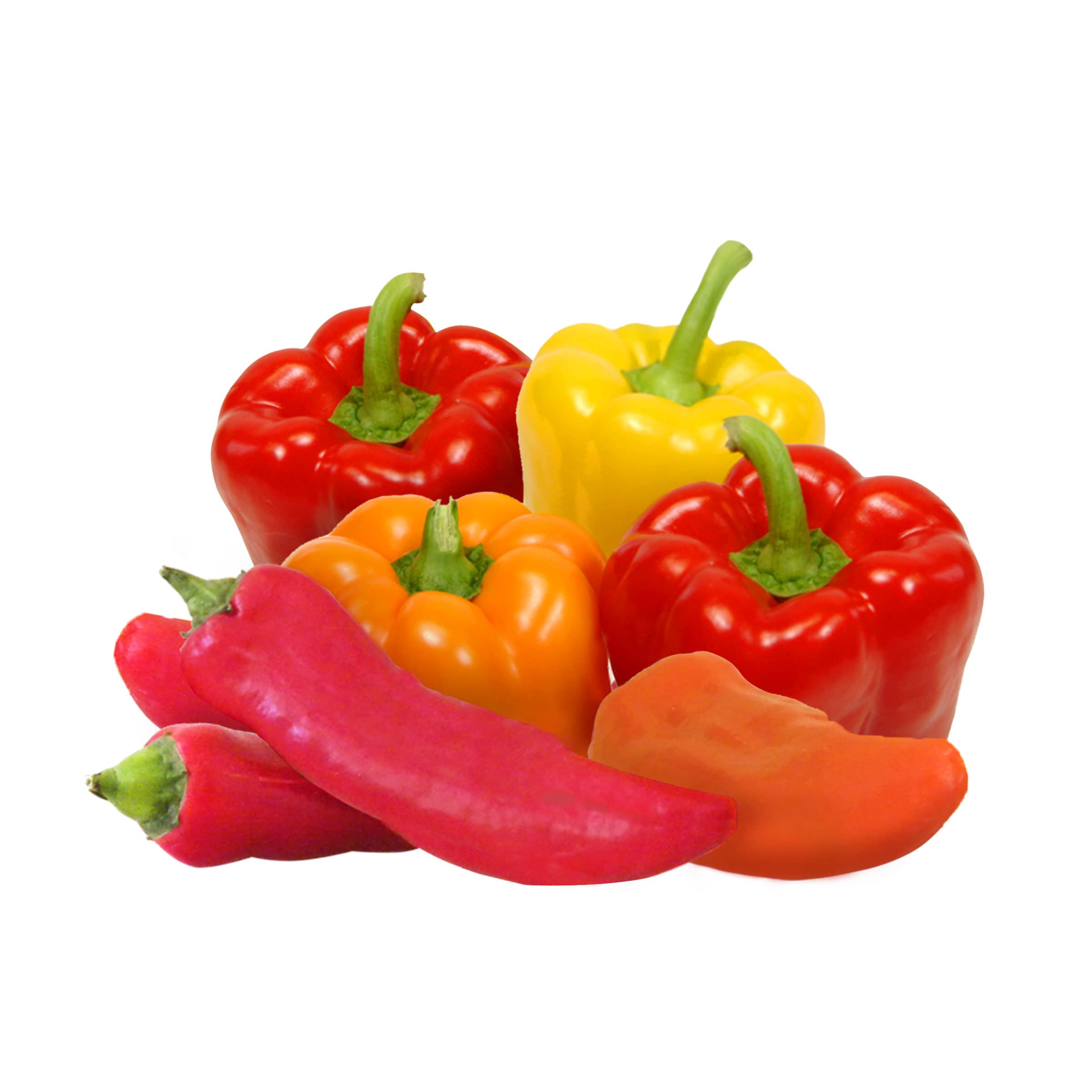 Paprika, bunt kaufen Paprika, bunt