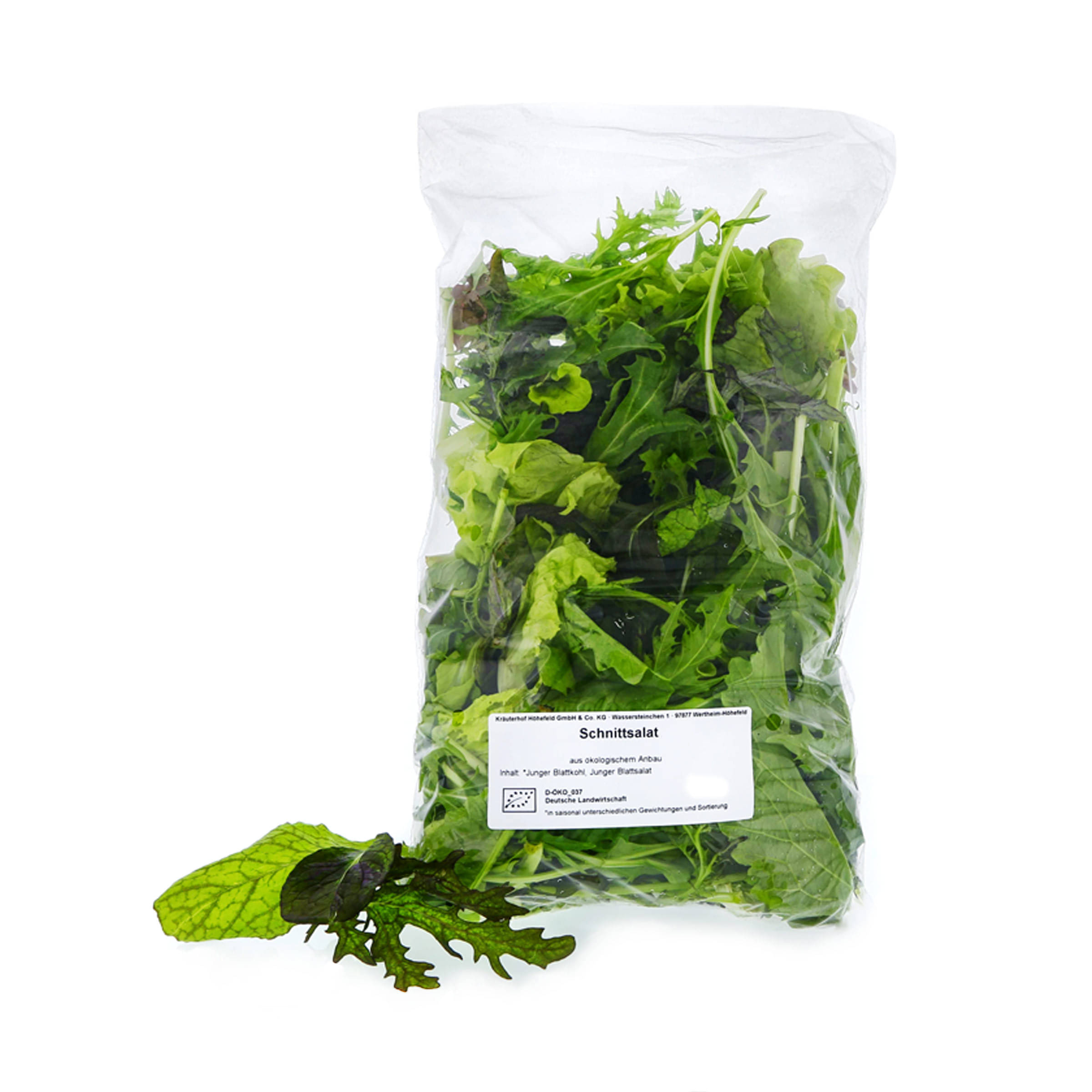 Schnitt-Salat kaufen Schnitt-Salat