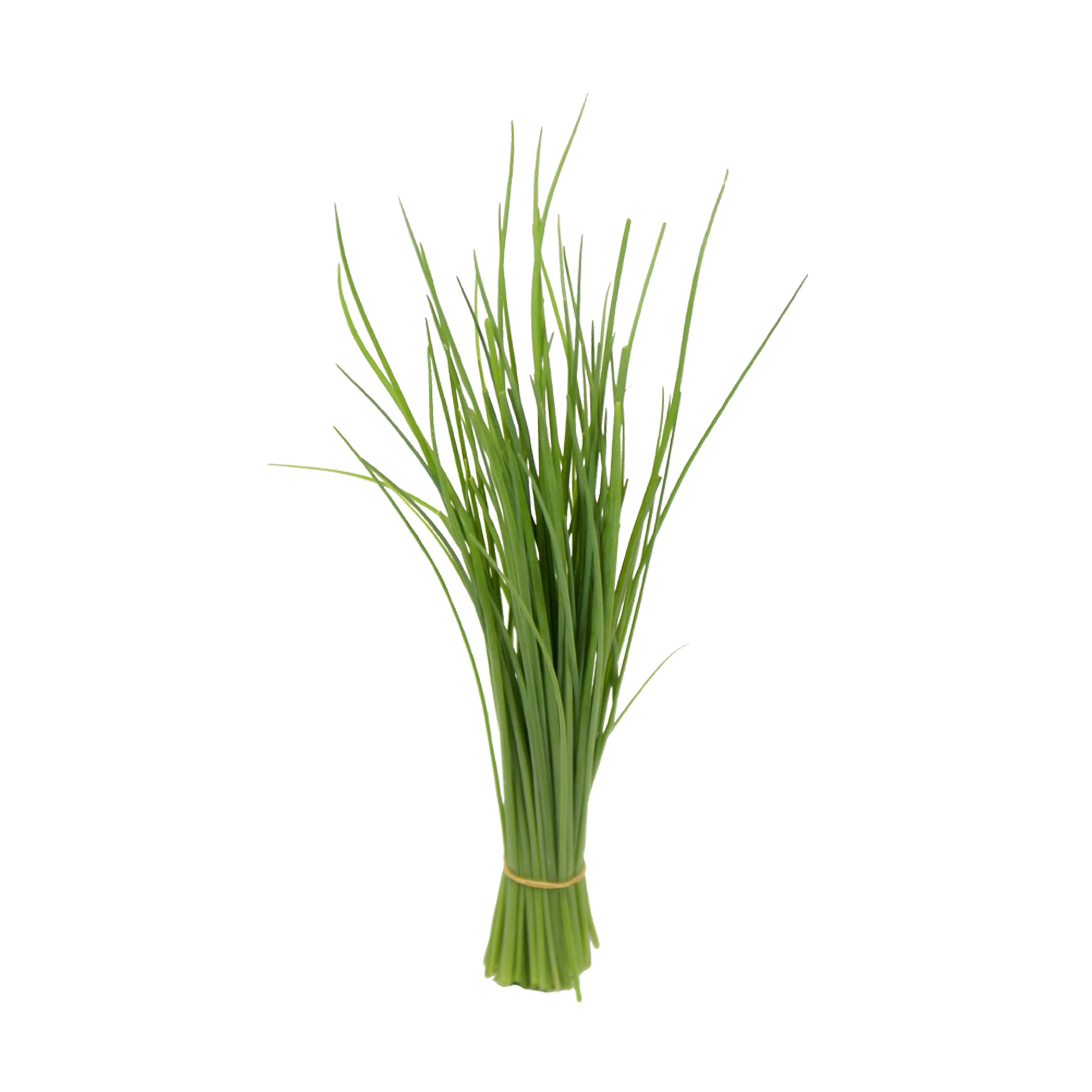 Schnittlauch kaufen Schnittlauch