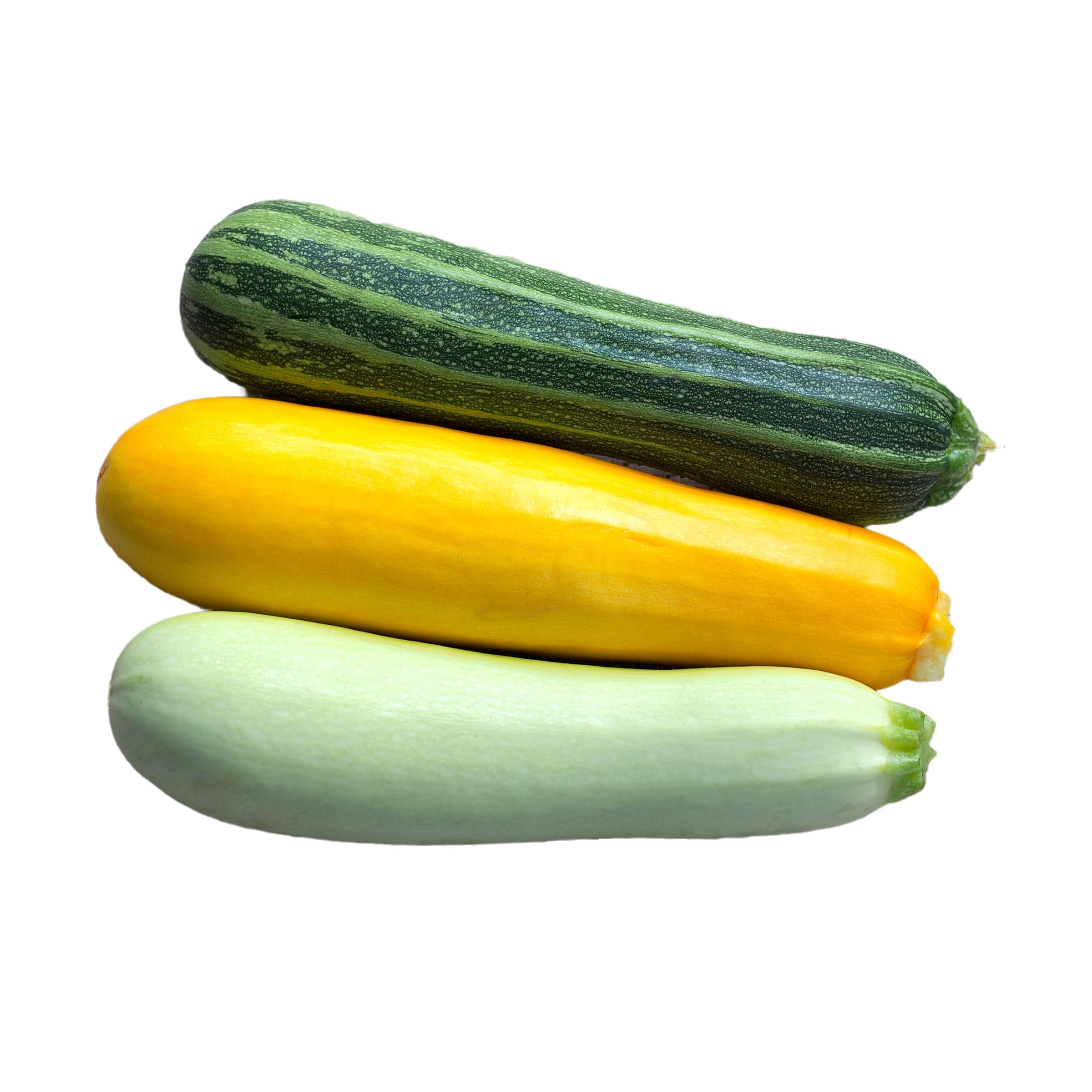 Zucchini bunt kaufen Zucchini bunt