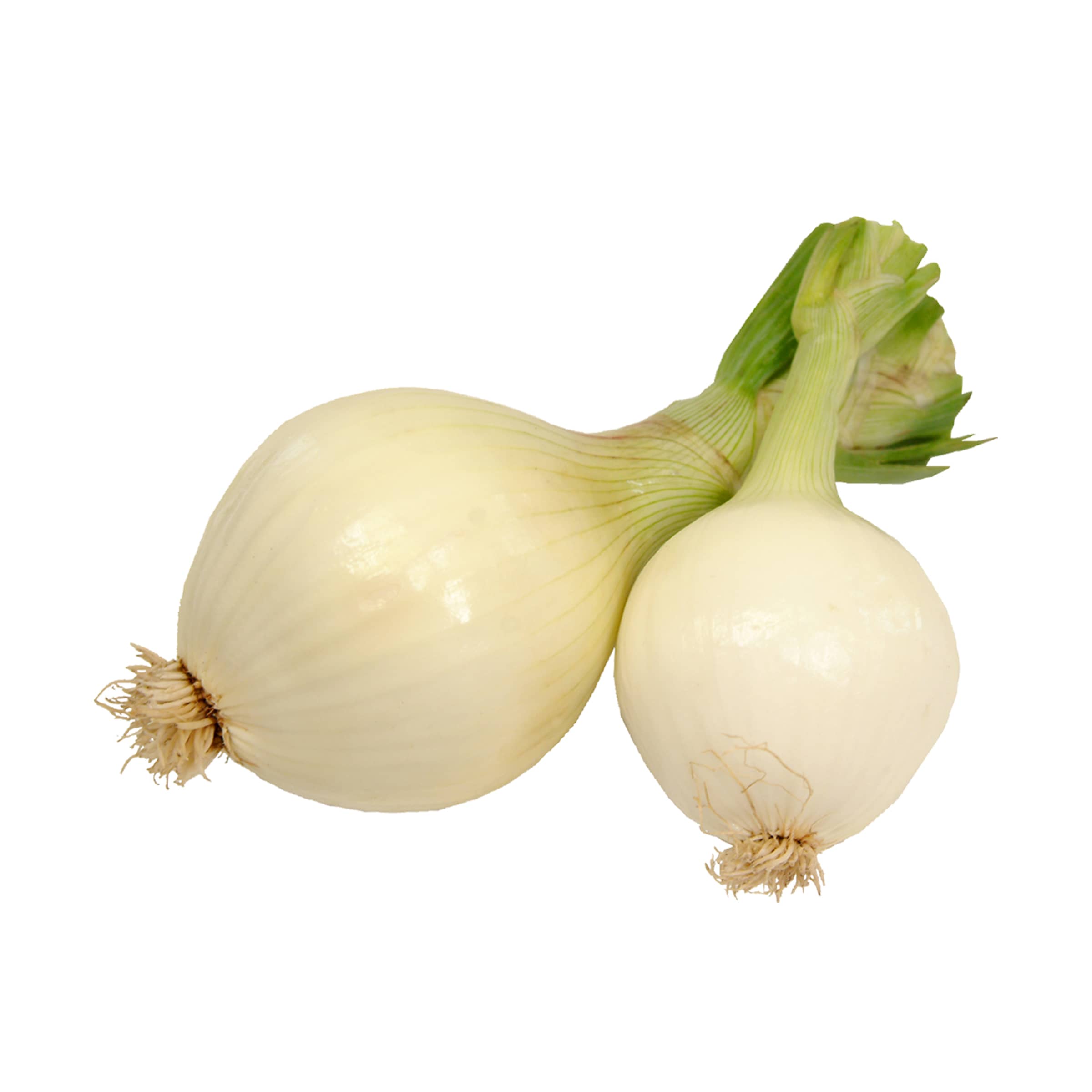 Gemüsezwiebel kaufen Gemüsezwiebel