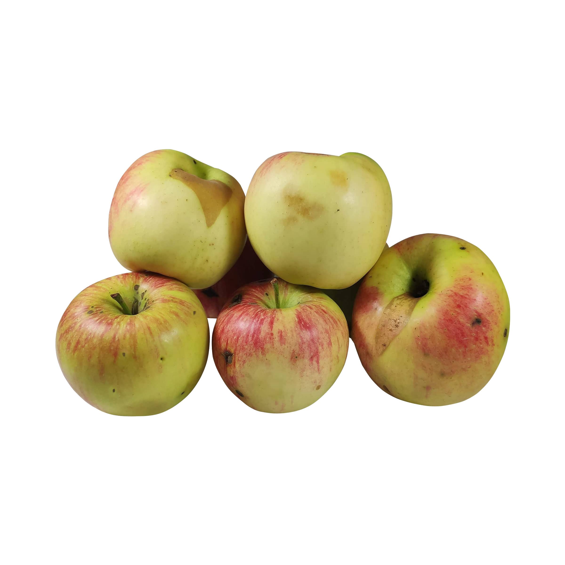 Äpfel - mit Schönheitsfehlern kaufen Äpfel - mit Schönheitsfehlern