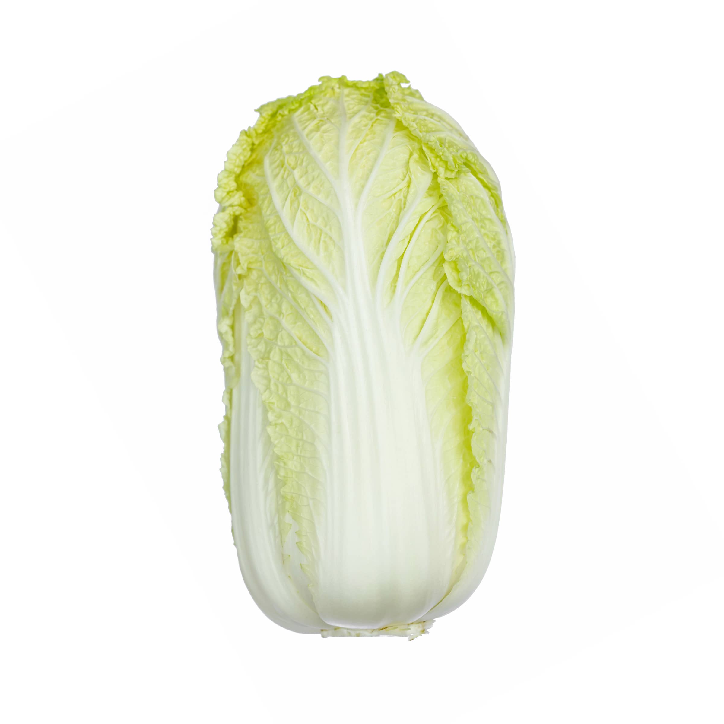 Chinakohl, groß kaufen Chinakohl, groß