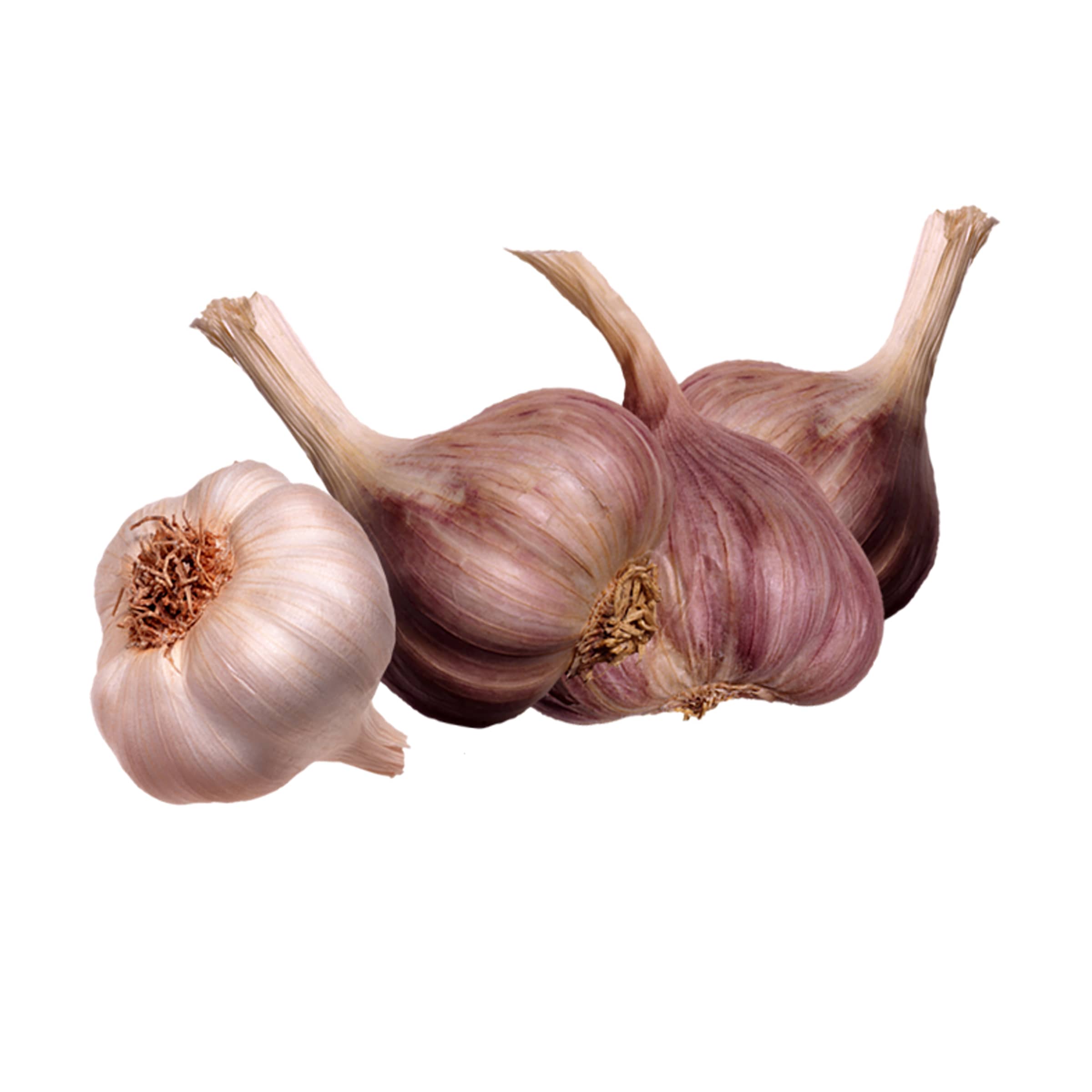 Knoblauch kaufen Knoblauch