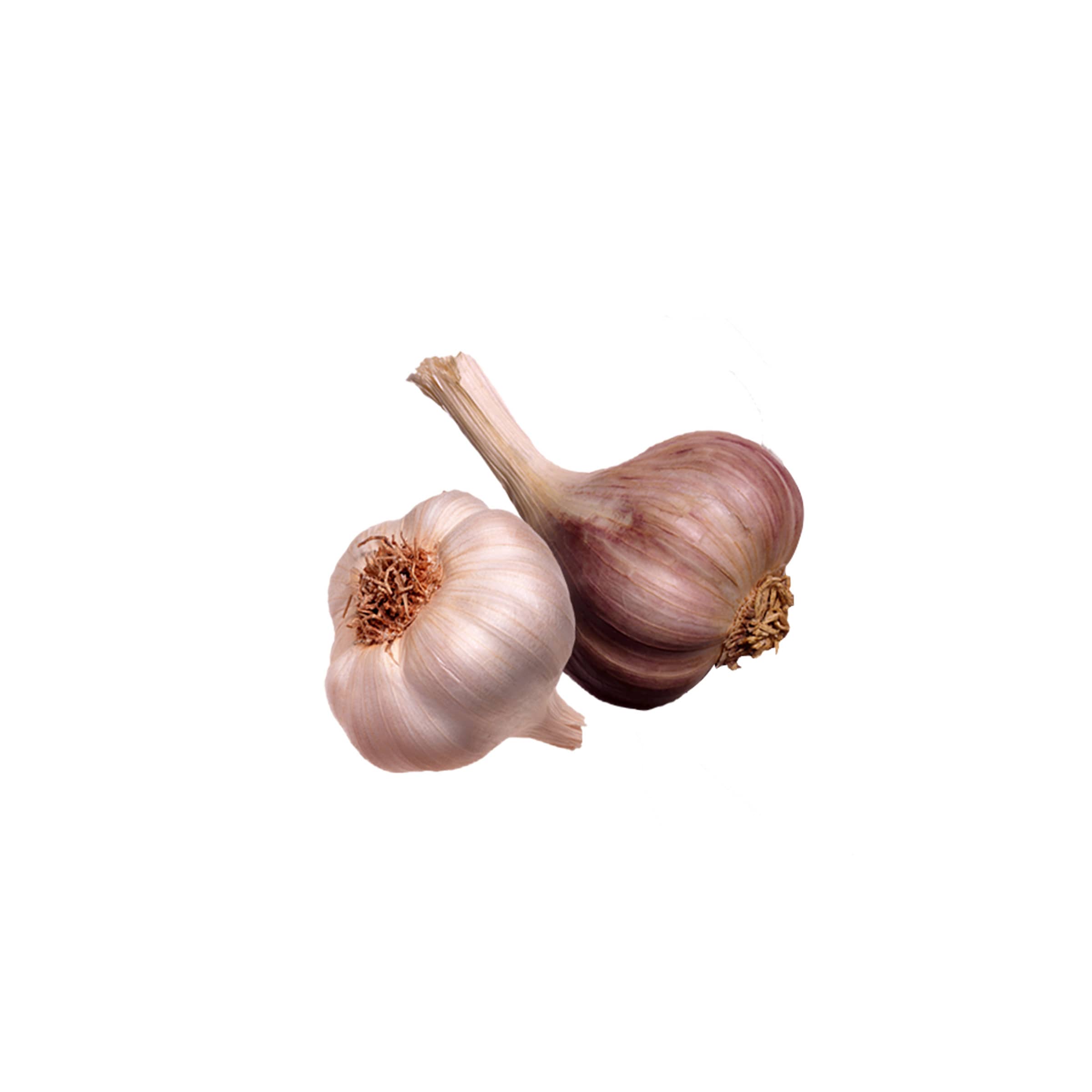 Knoblauch kaufen Knoblauch
