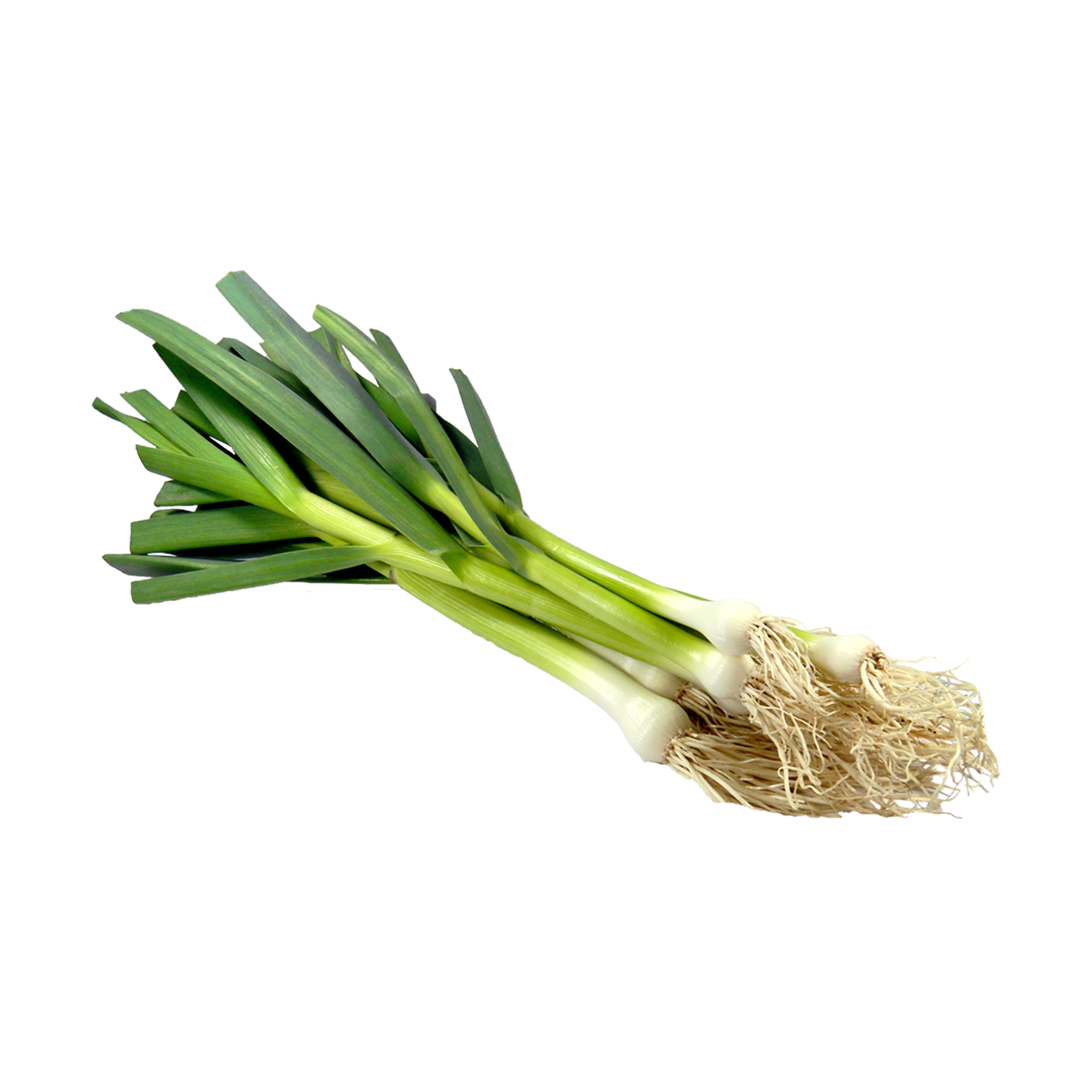 Grüner Knoblauch kaufen Grüner Knoblauch
