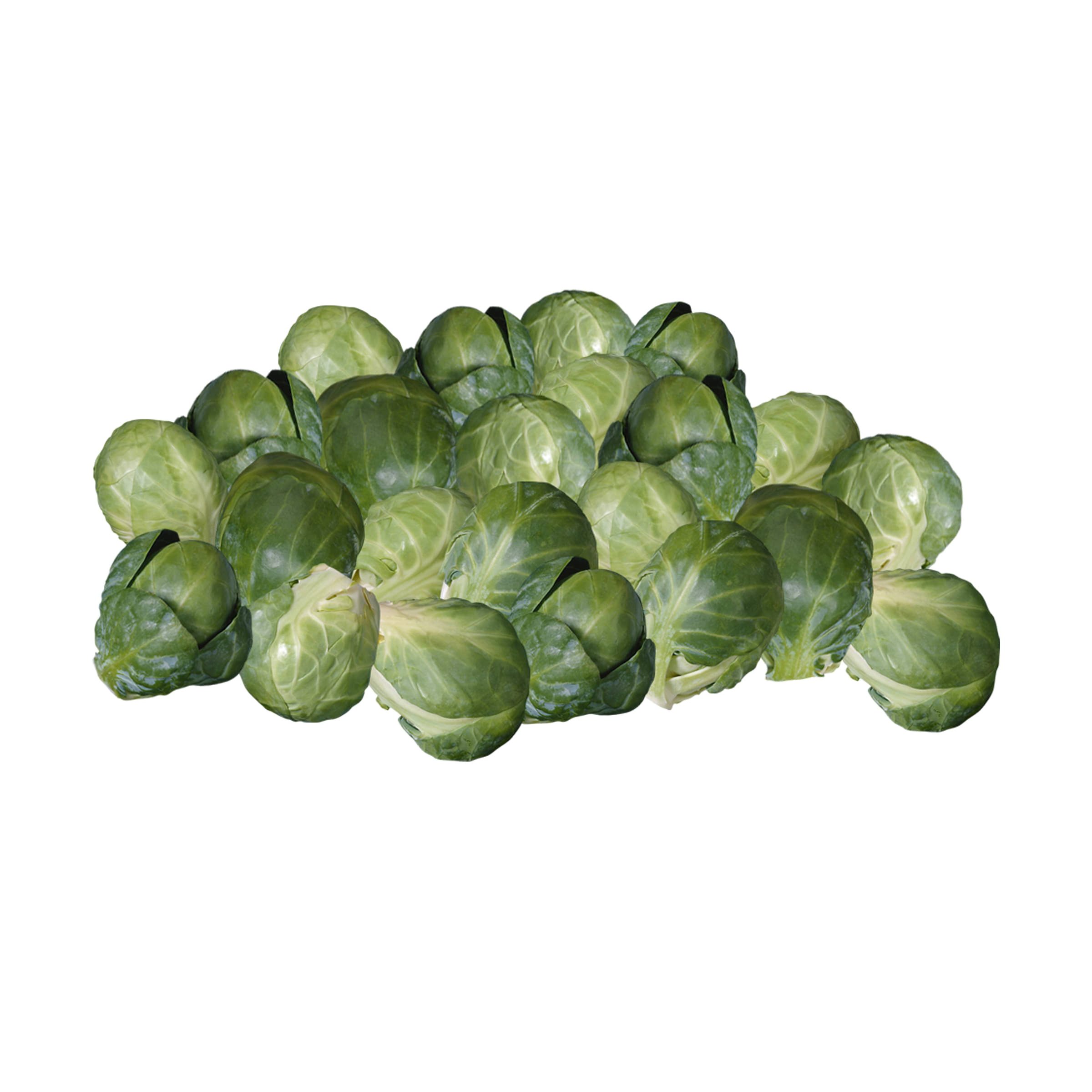 Rosenkohl