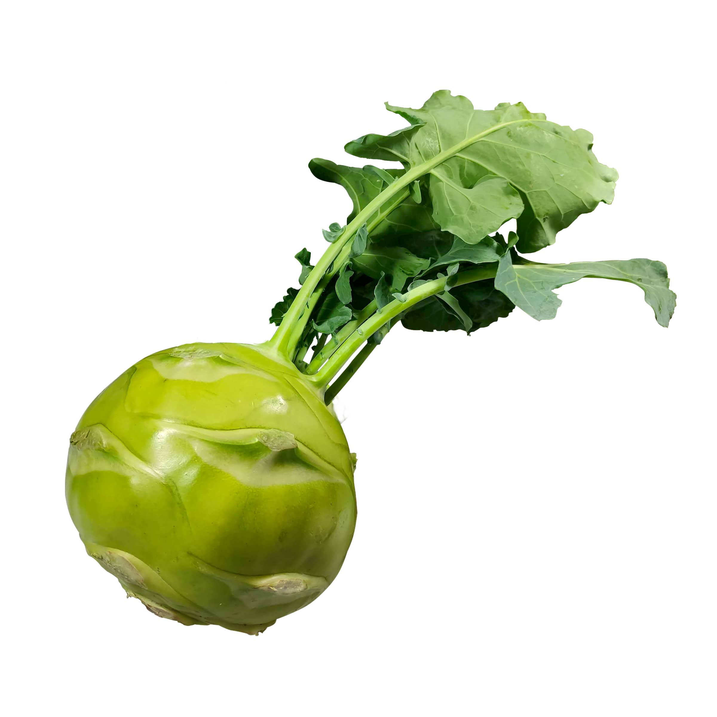 Kohlrabi, klein - mit Schönheitsfehlern kaufen Kohlrabi, klein - mit Schönheitsfehlern
