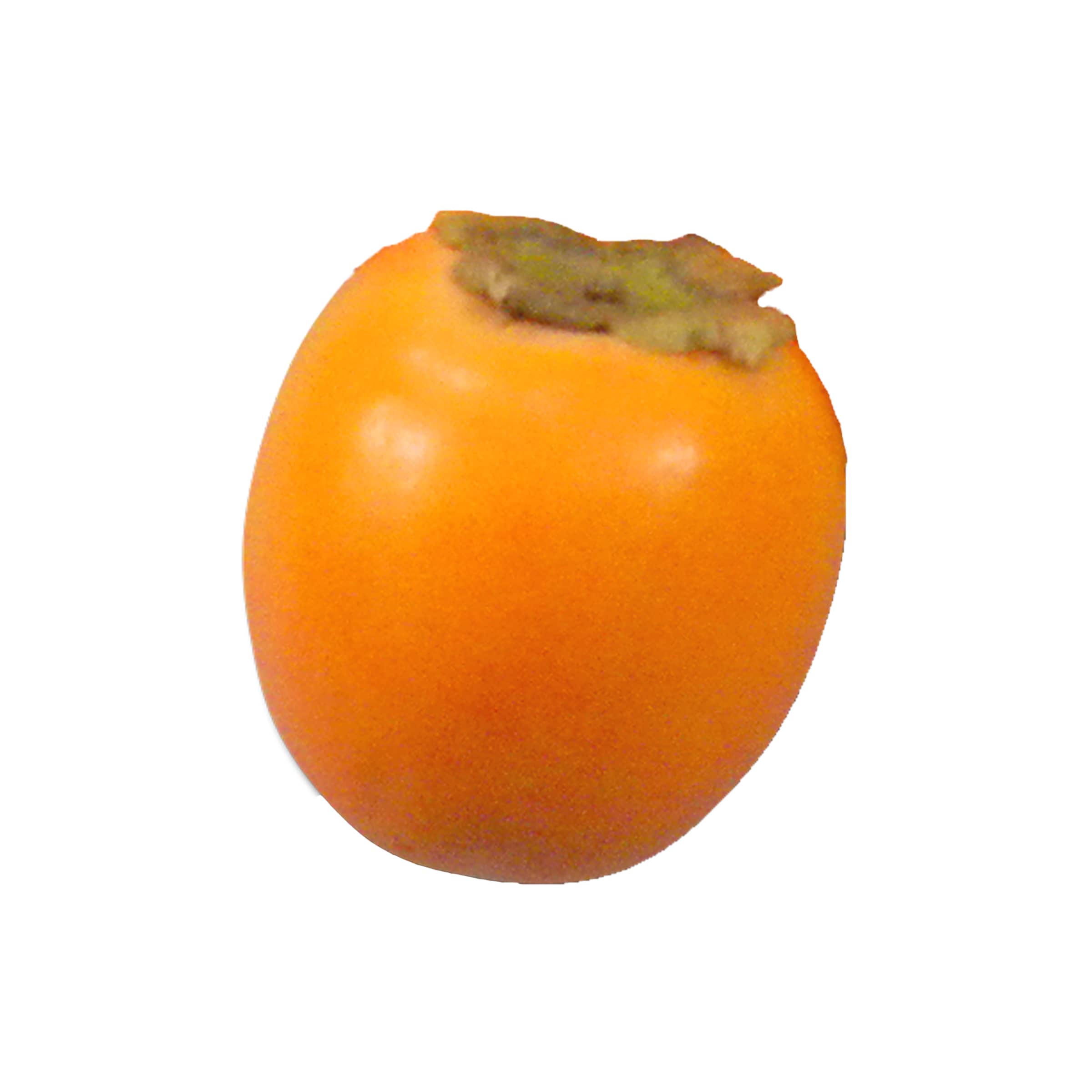 Kaki kaufen Kaki