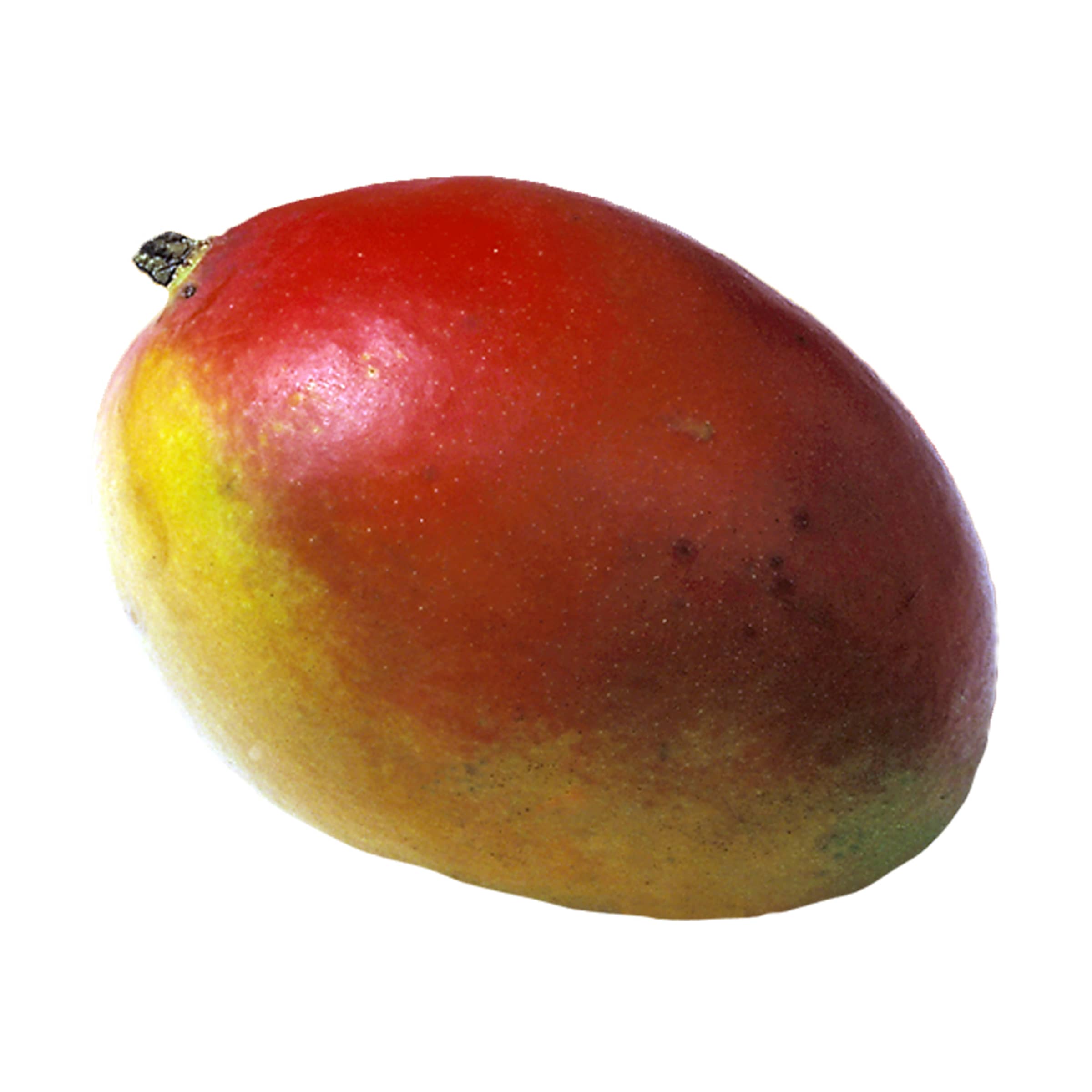 Mango, klein kaufen Mango, klein