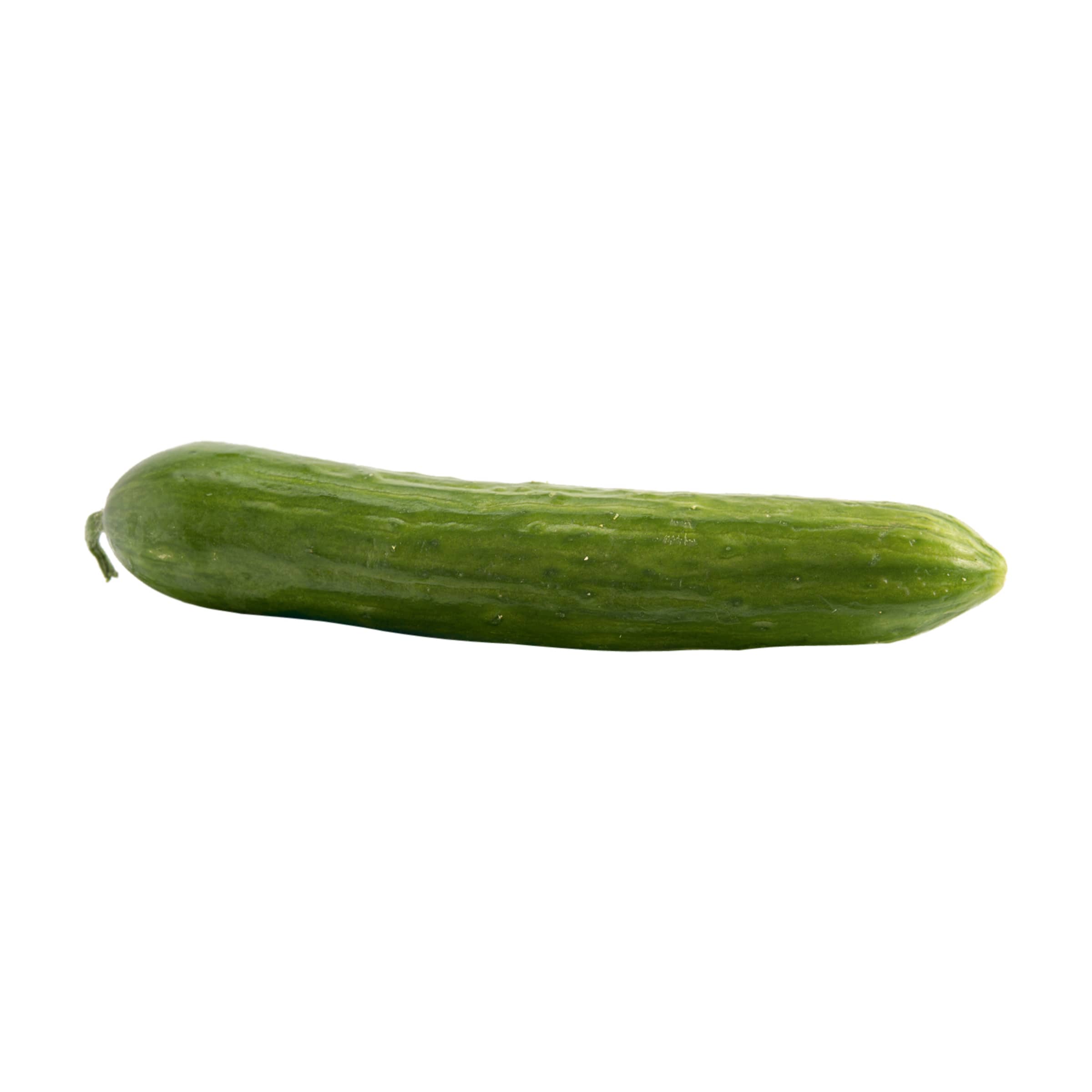 GRATIS: Salatgurke kaufen GRATIS: Salatgurke
