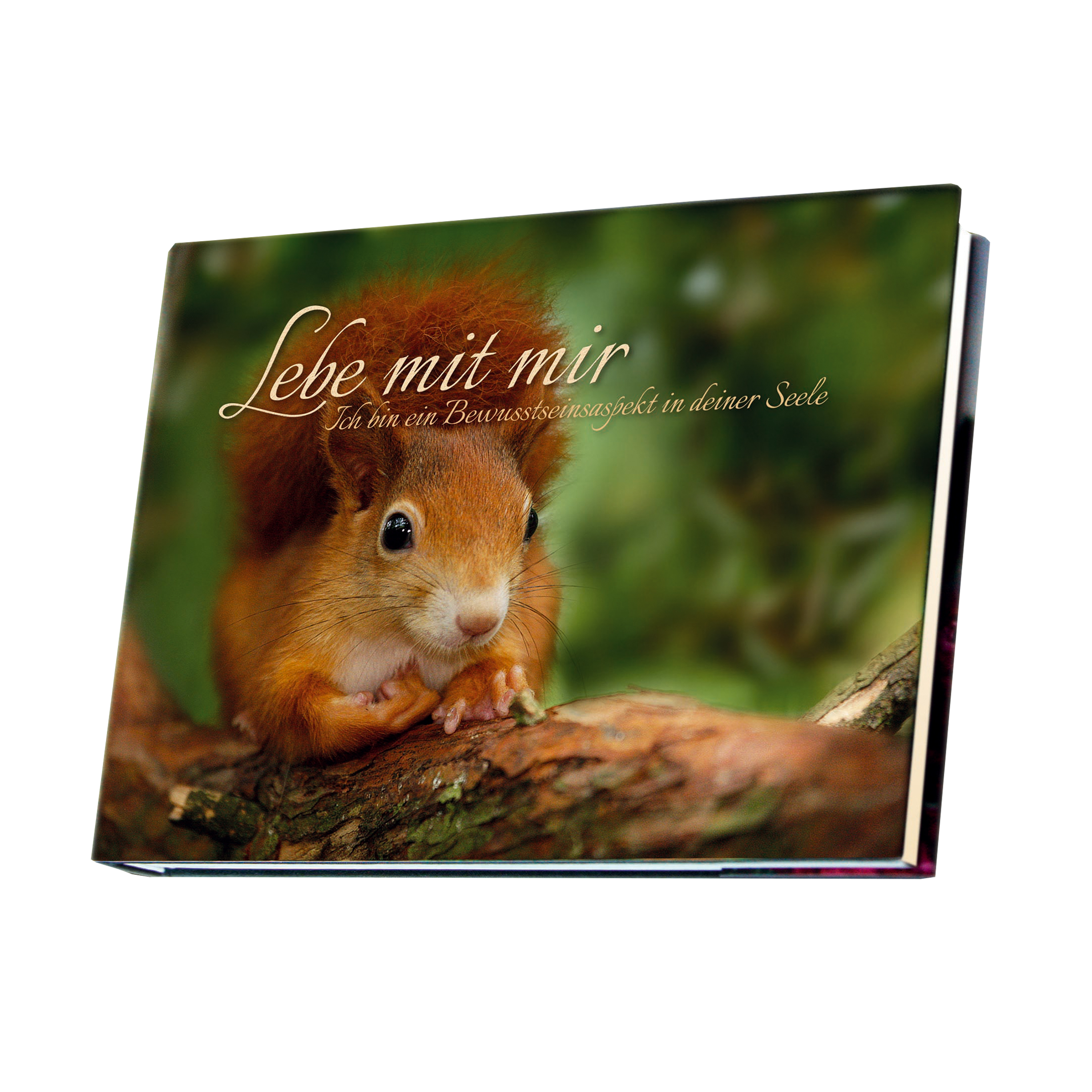 Lebe mit mir - Ich bin ein Bewusstseinsaspekt in deiner Seele kaufen Lebe mit mir - Ich bin ein Bewusstseinsaspekt in deiner Seele