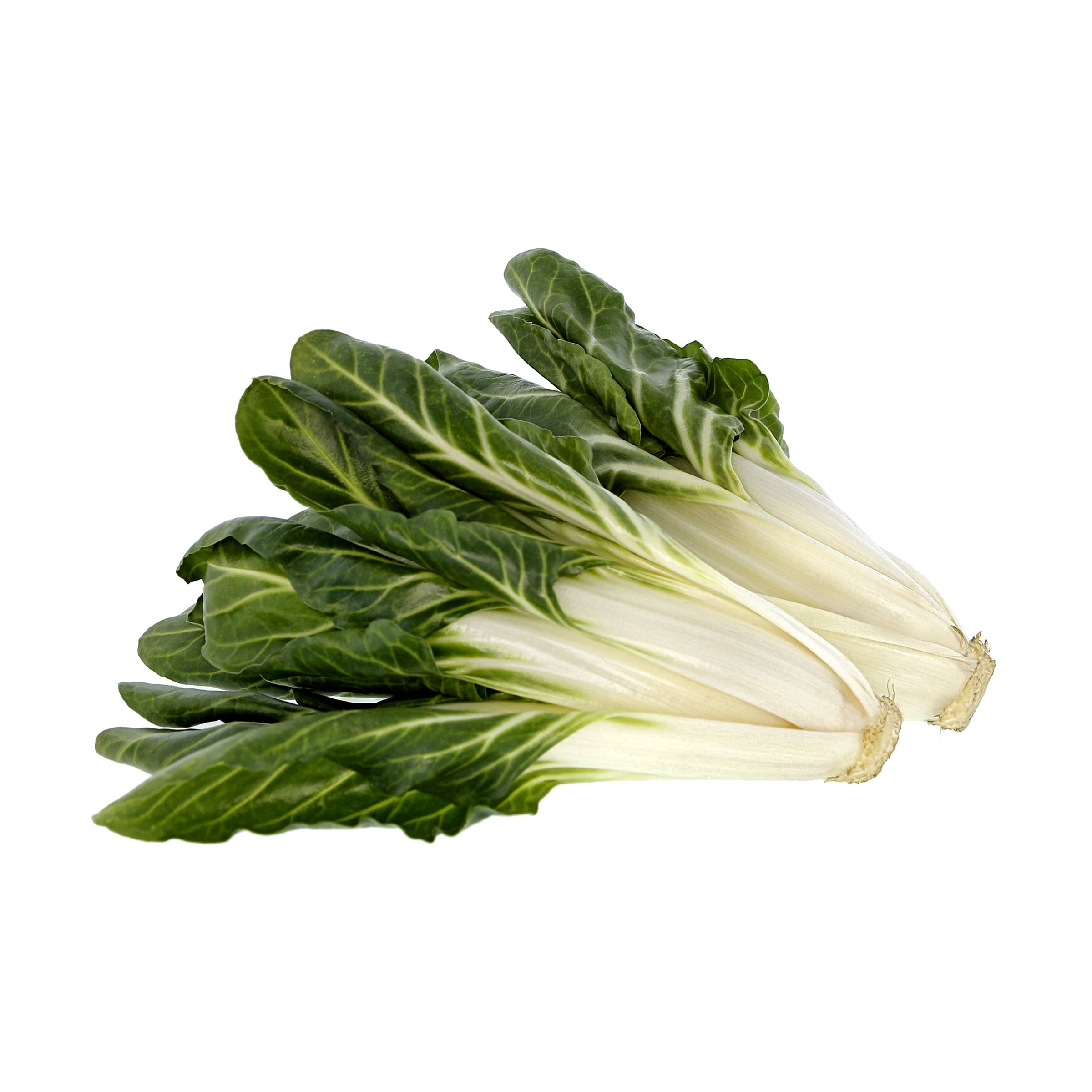 Mangold kaufen Mangold