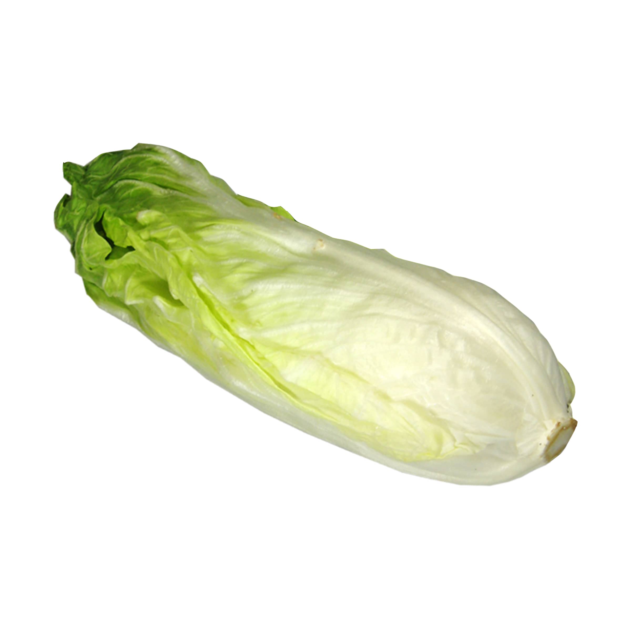 Zuckerhut kaufen Zuckerhut