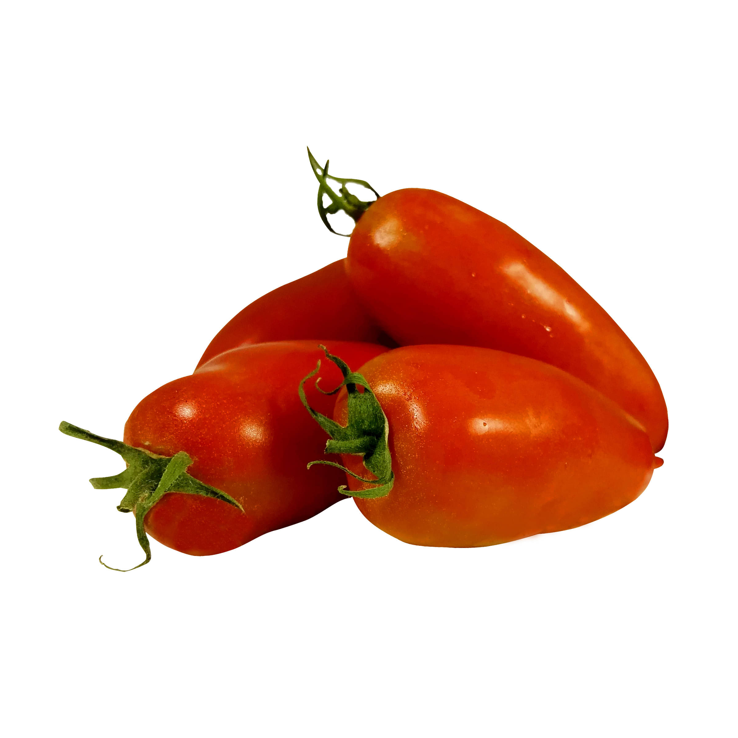 Flaschentomaten kaufen Flaschentomaten