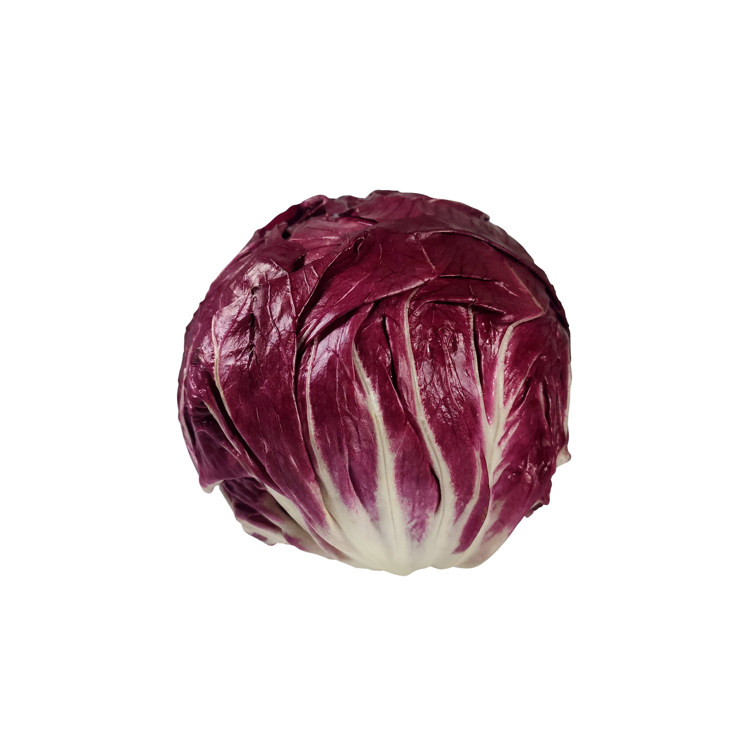 Radicchio kaufen Radicchio