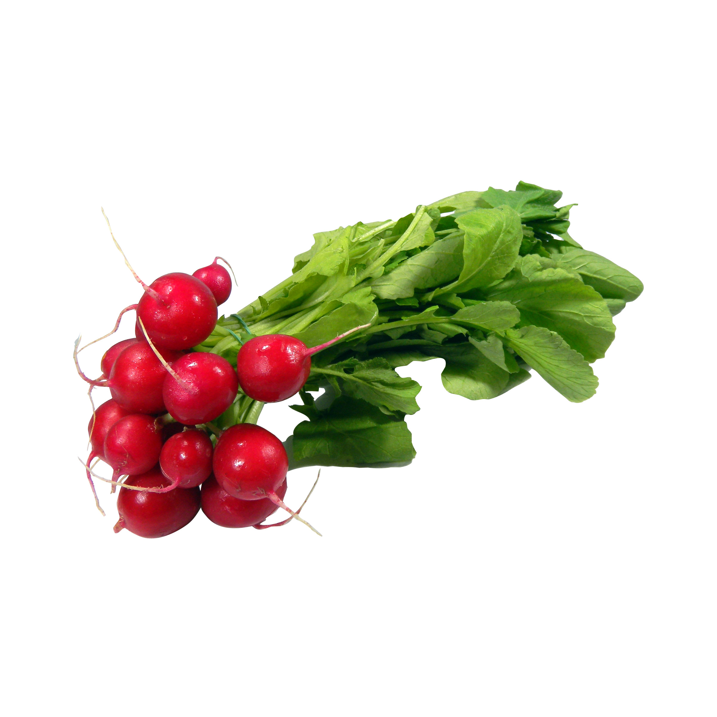 Radieschen kaufen Radieschen