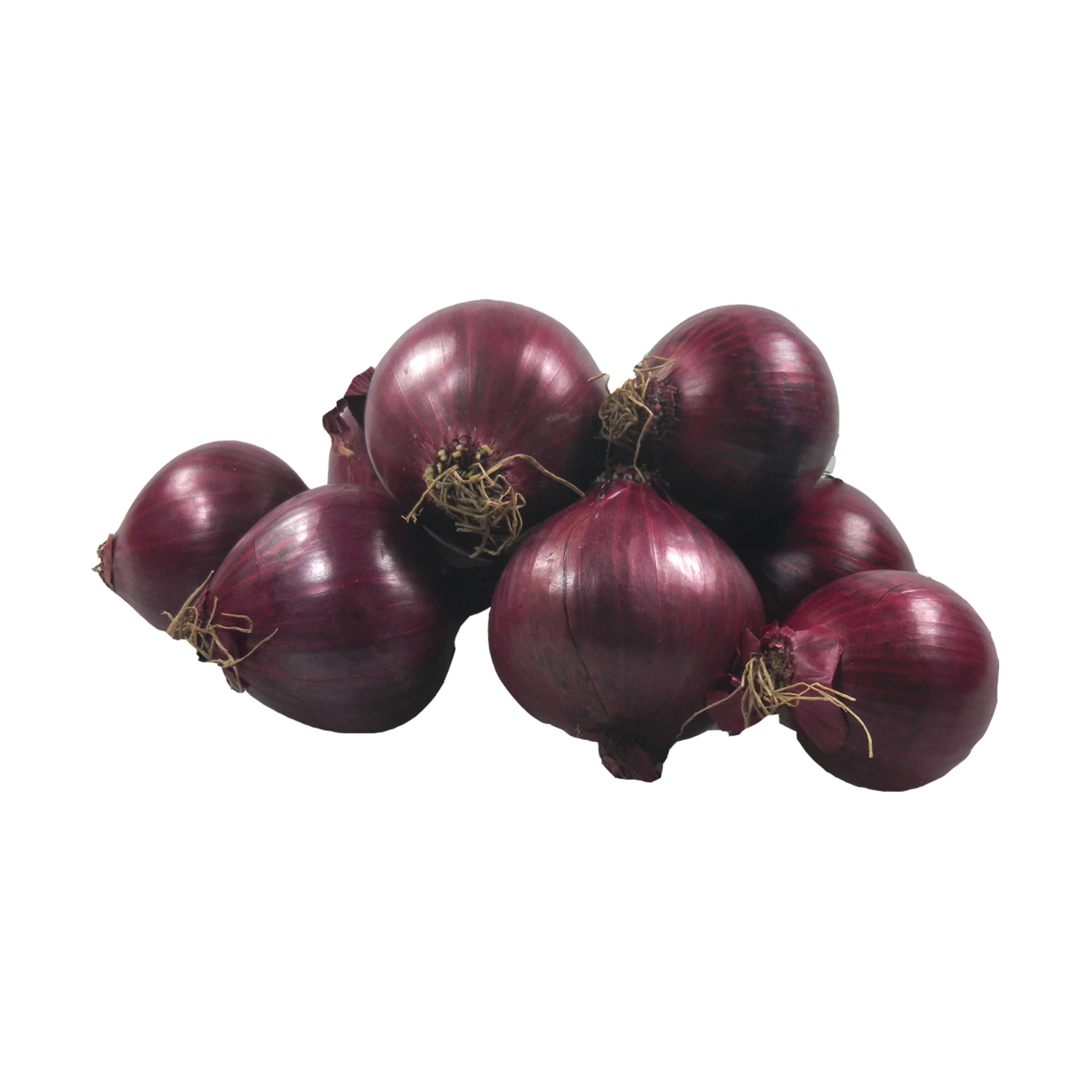 Zwiebeln rot, klein - mit Schönheitsfehlern kaufen Zwiebeln rot, klein - mit Schönheitsfehlern