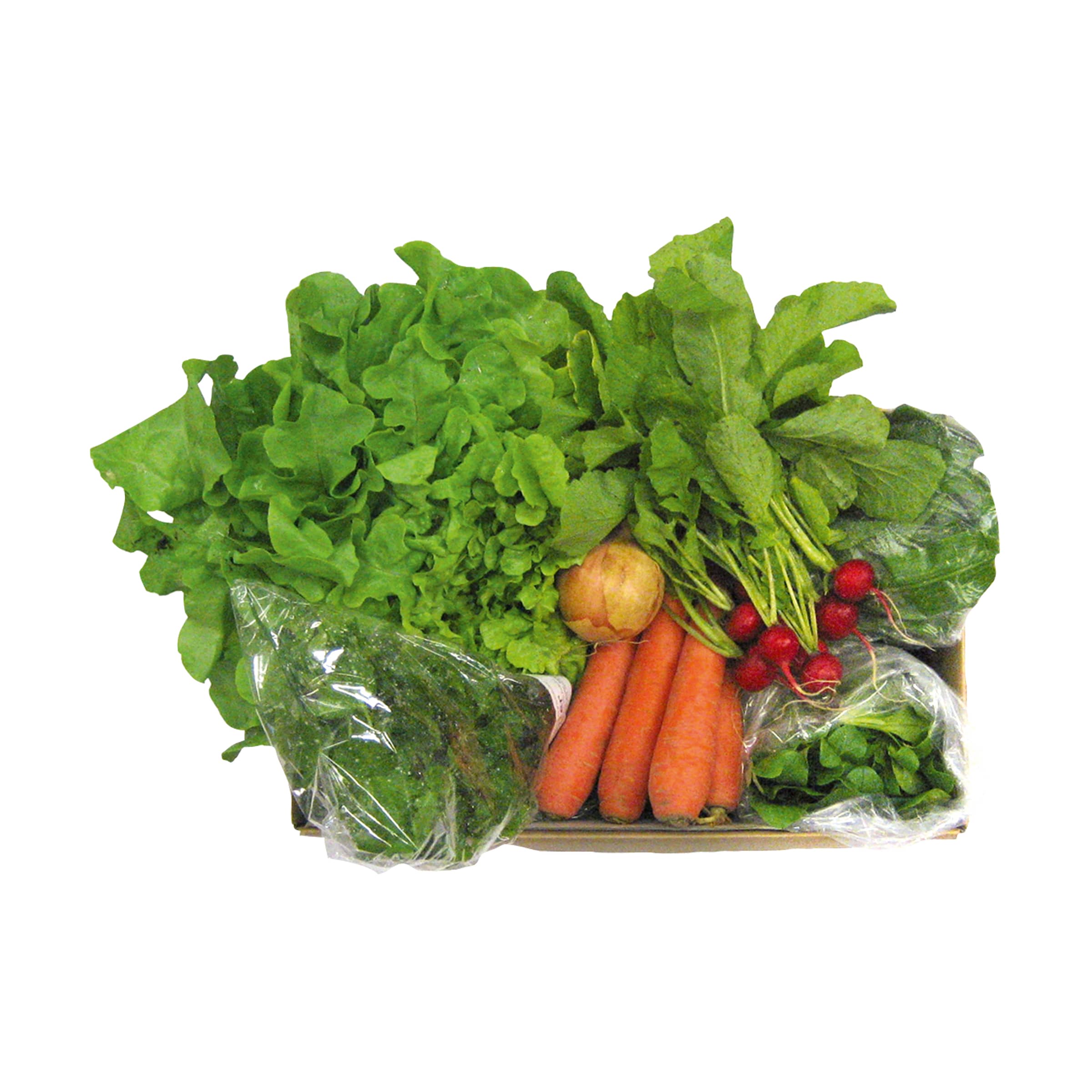 Salat-Vitamin-Paket kaufen Salat-Vitamin-Paket